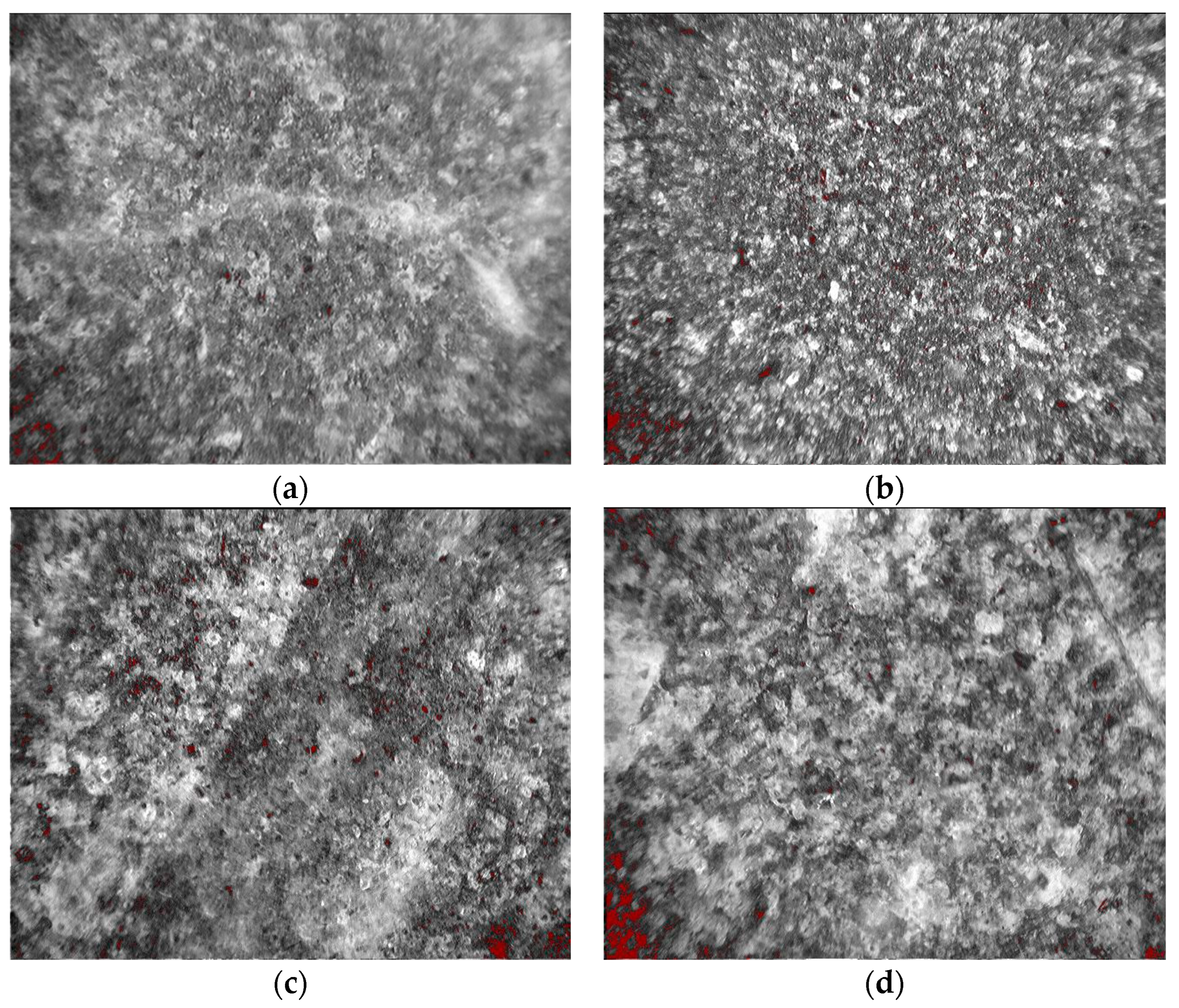 Minerals 13 00475 g014