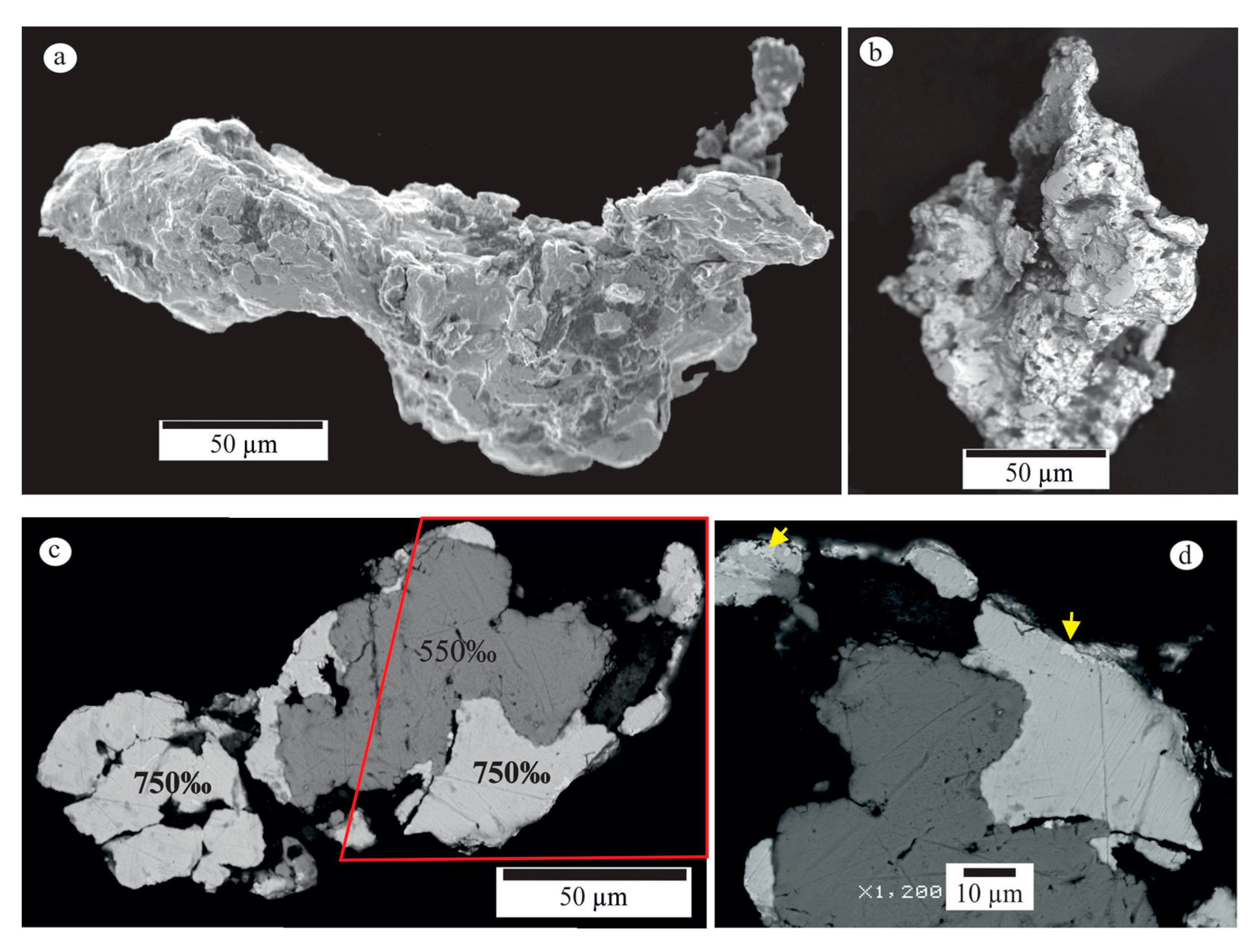 Minerals 13 00480 g005