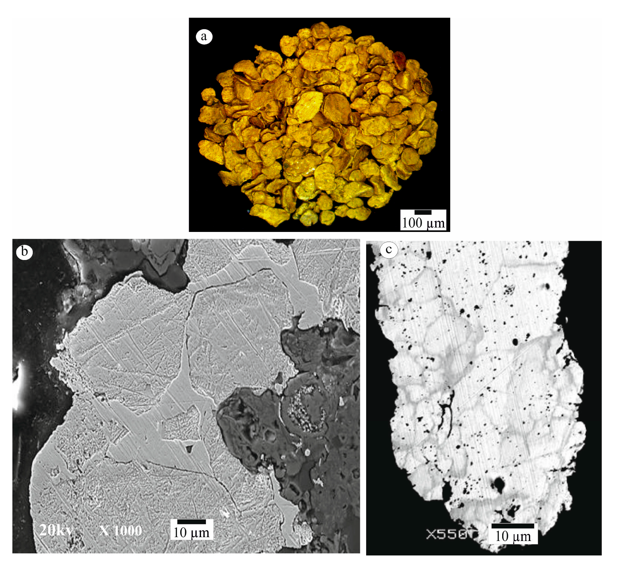 Minerals 13 00480 g007