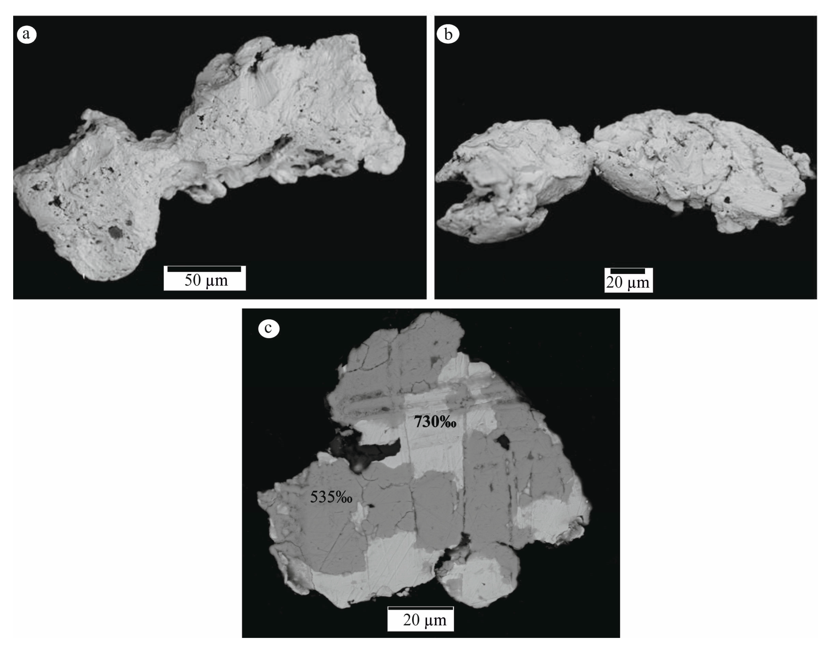Minerals 13 00480 g008