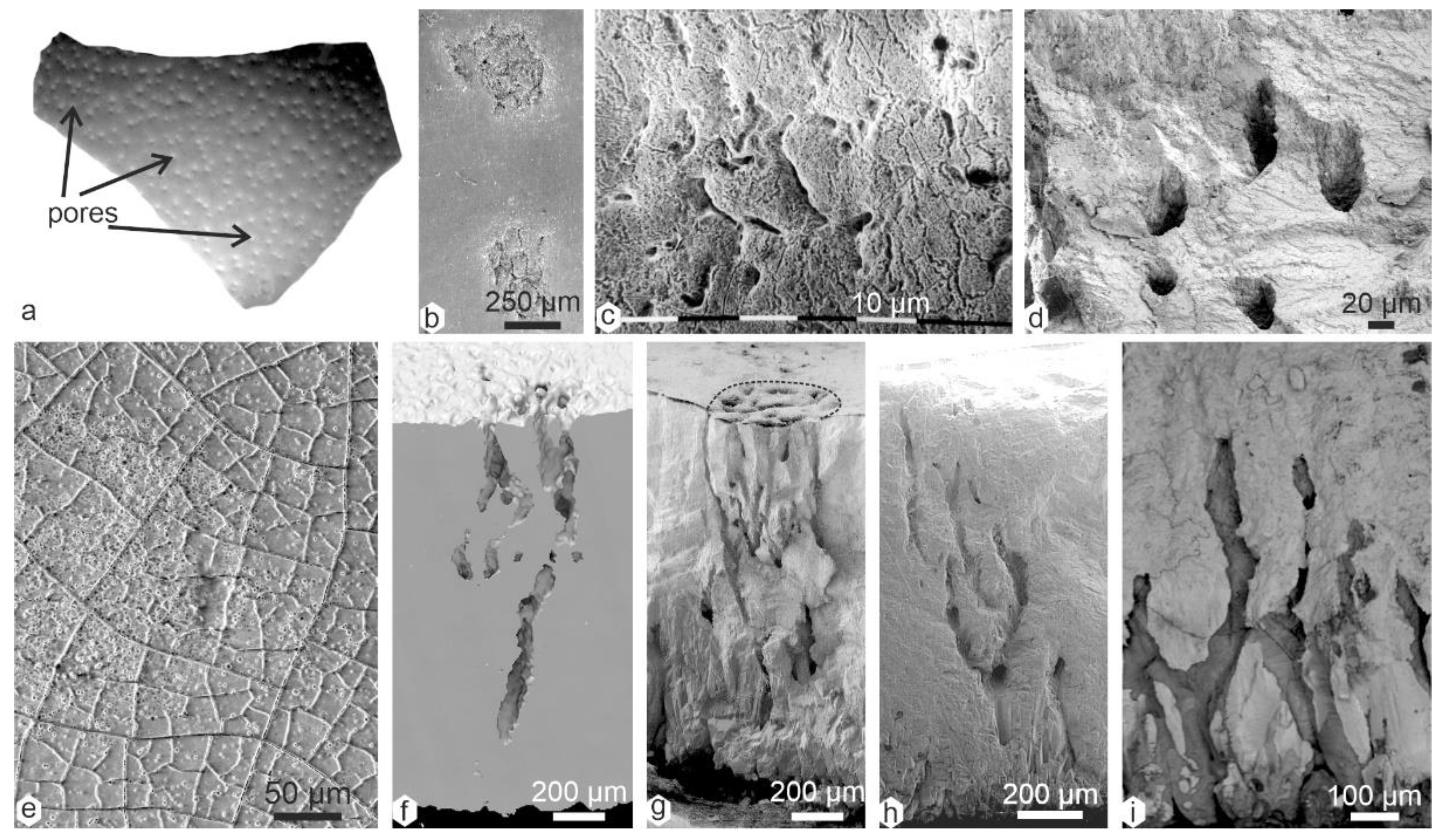 Minerals 13 00481 g002 Minerals 13 00481 g002