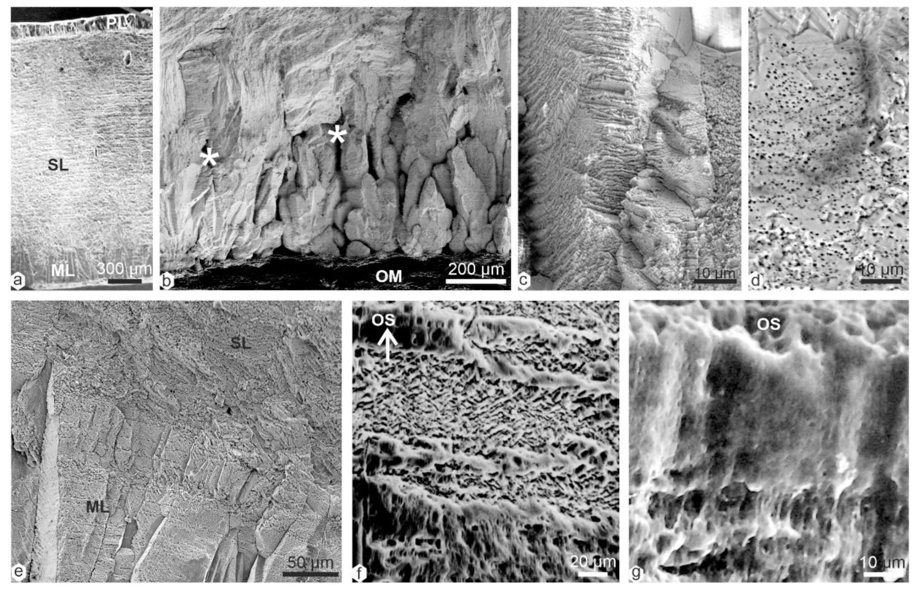 Minerals 13 00481 g003 Minerals 13 00481 g003