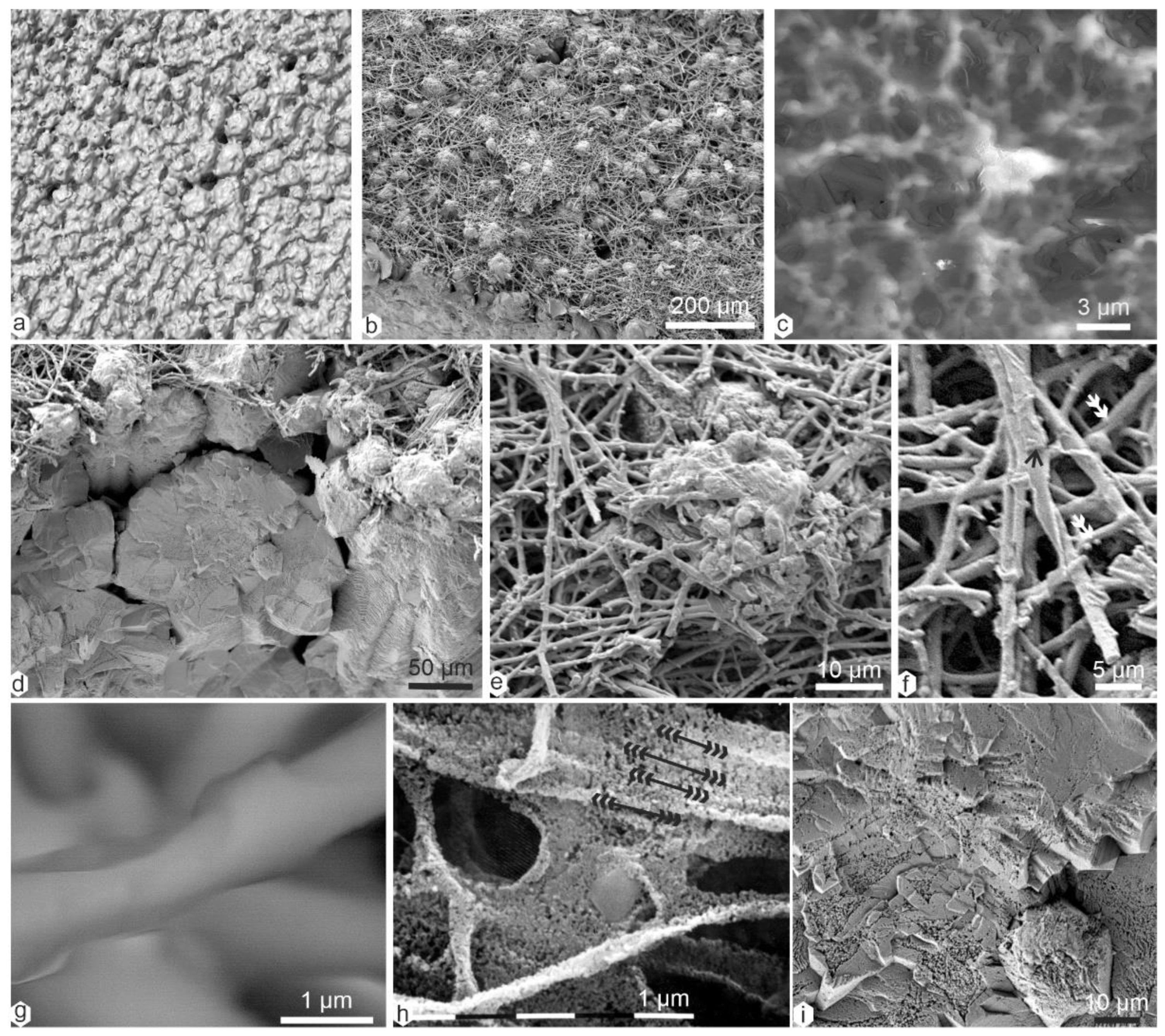 Minerals 13 00481 g004 Minerals 13 00481 g004