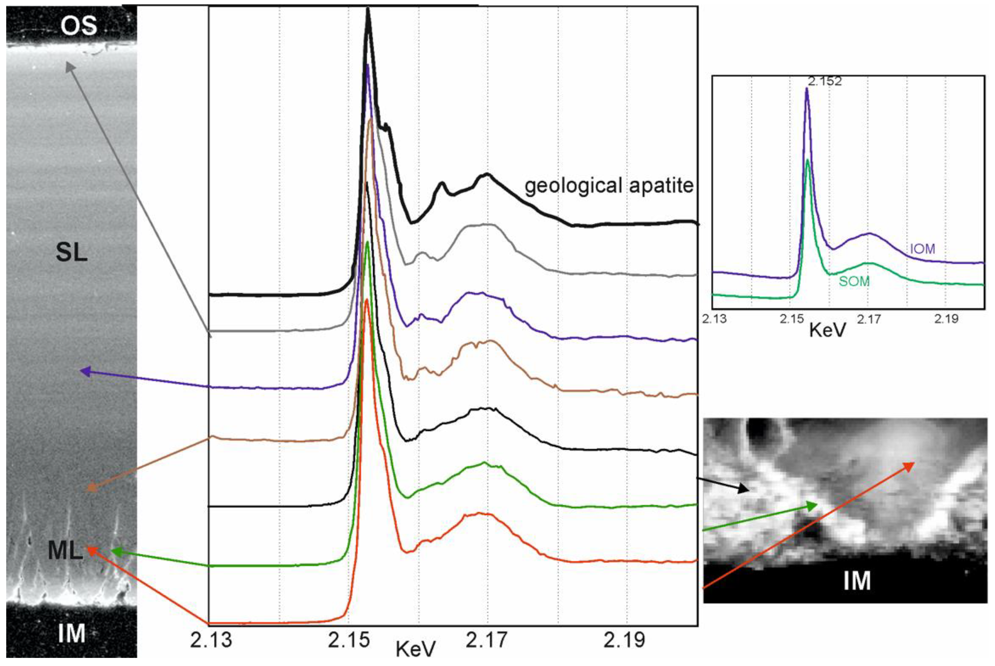 Minerals 13 00481 g011 Minerals 13 00481 g011