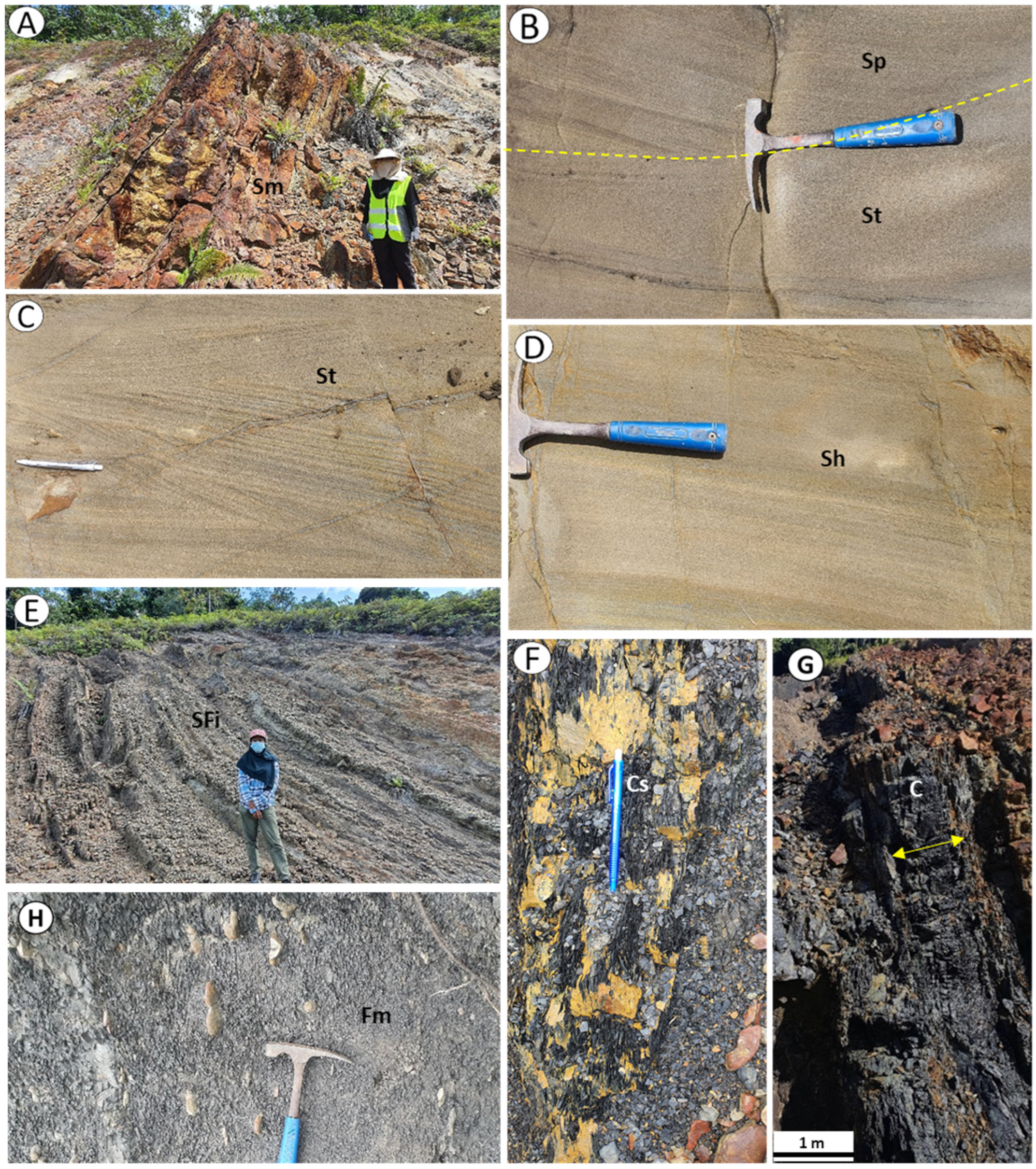 Minerals 13 00494 g006