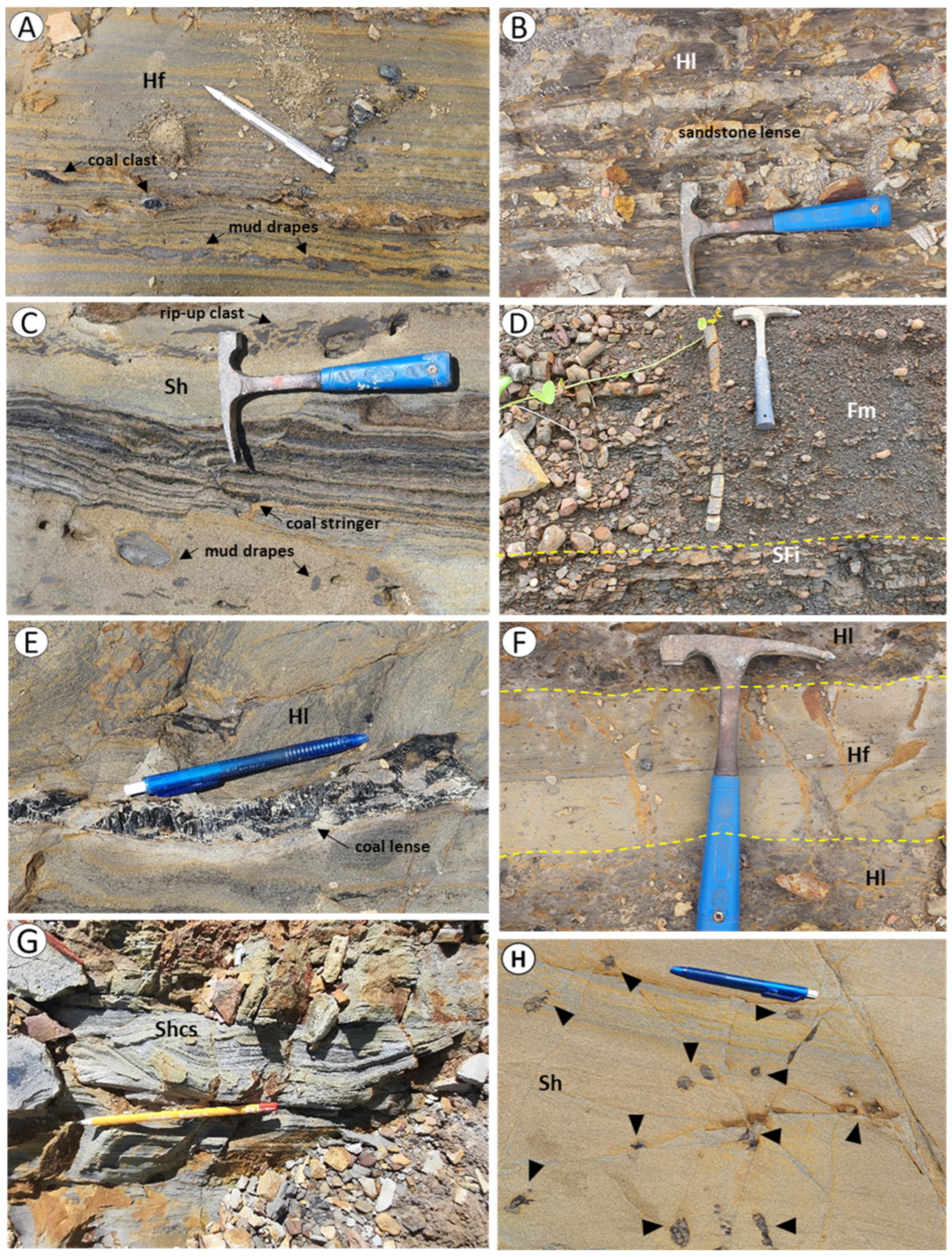 Minerals 13 00494 g007