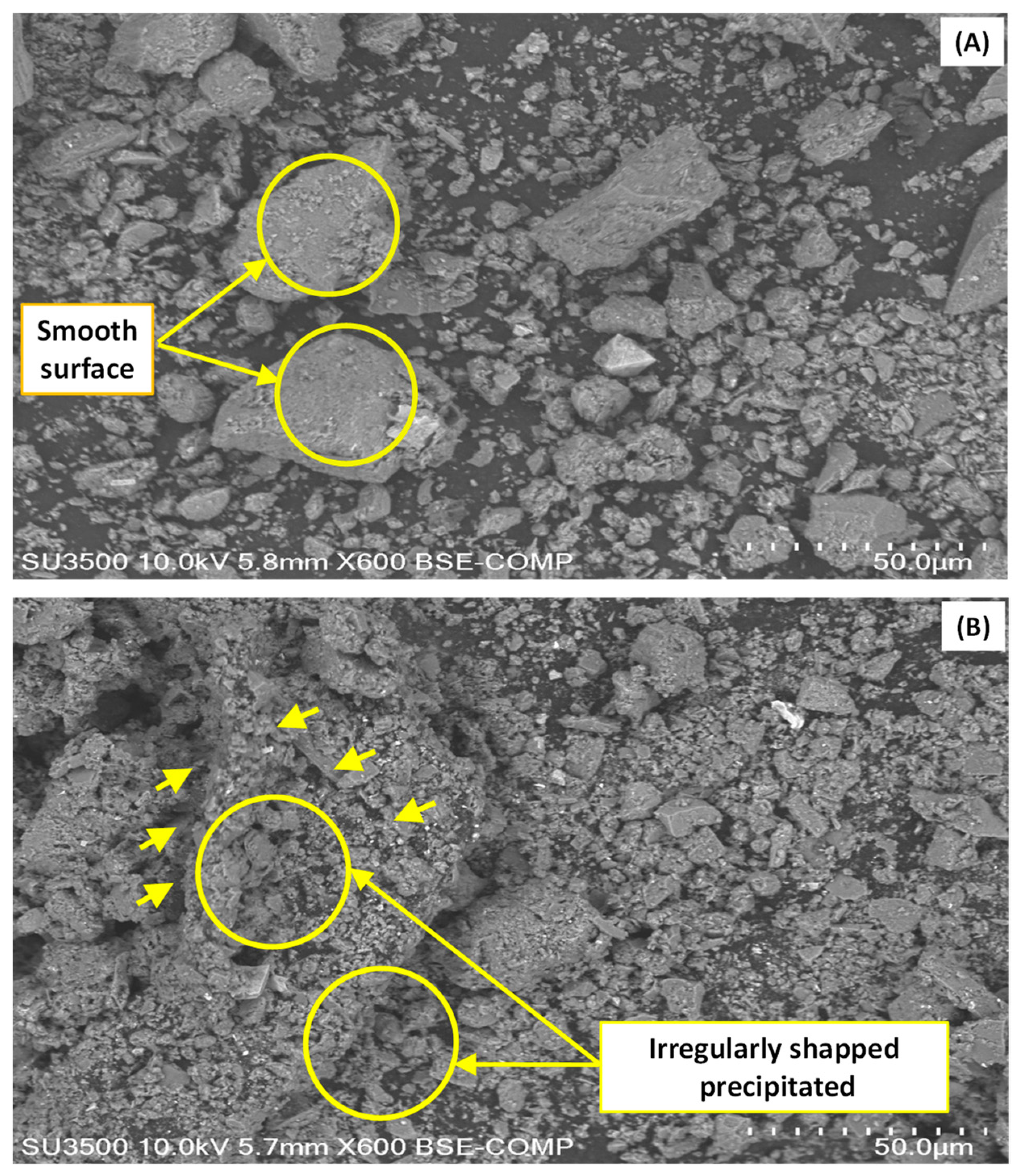 Minerals 13 00506 g004