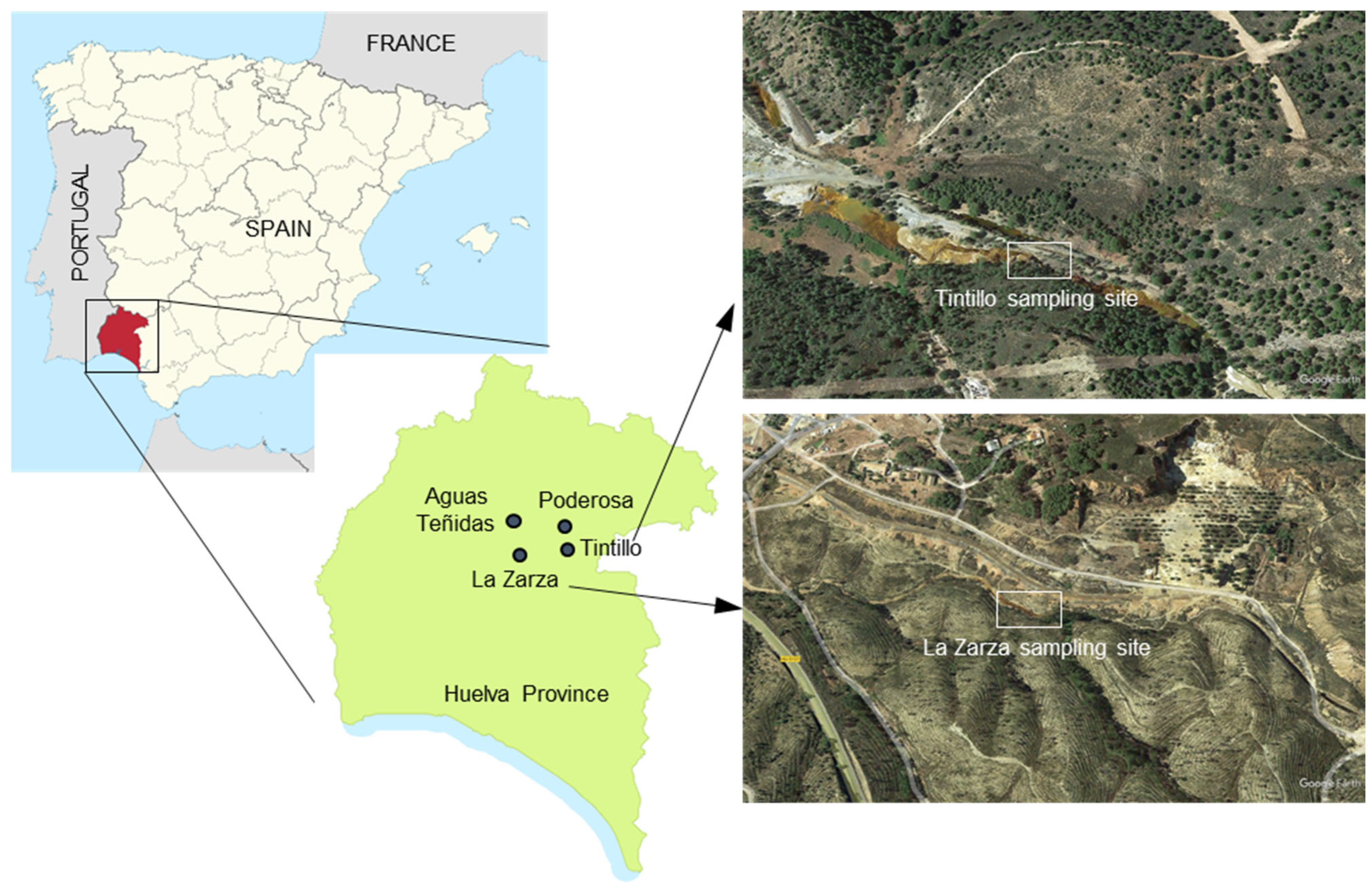 Minerals 13 00508 g001