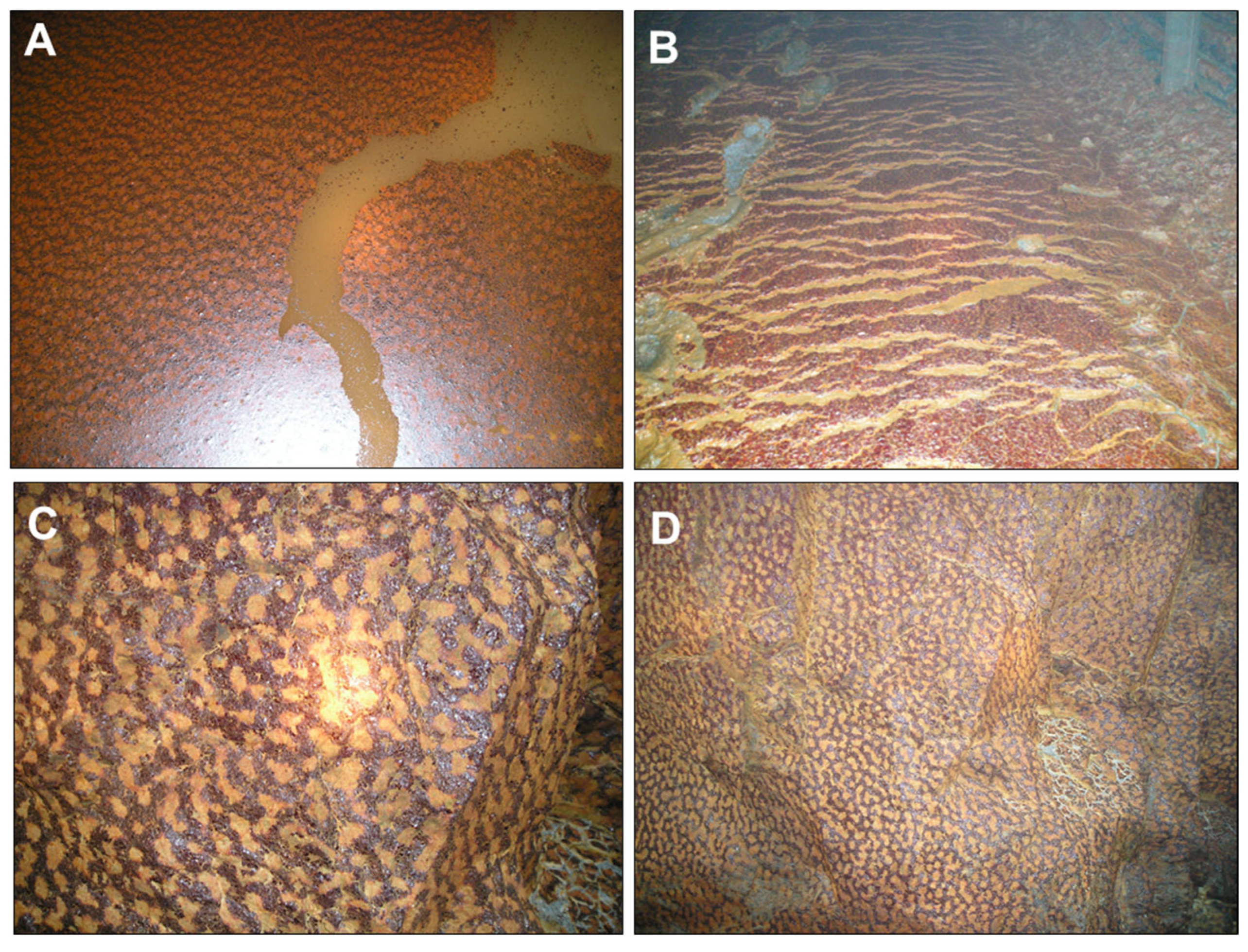 Minerals 13 00508 g005