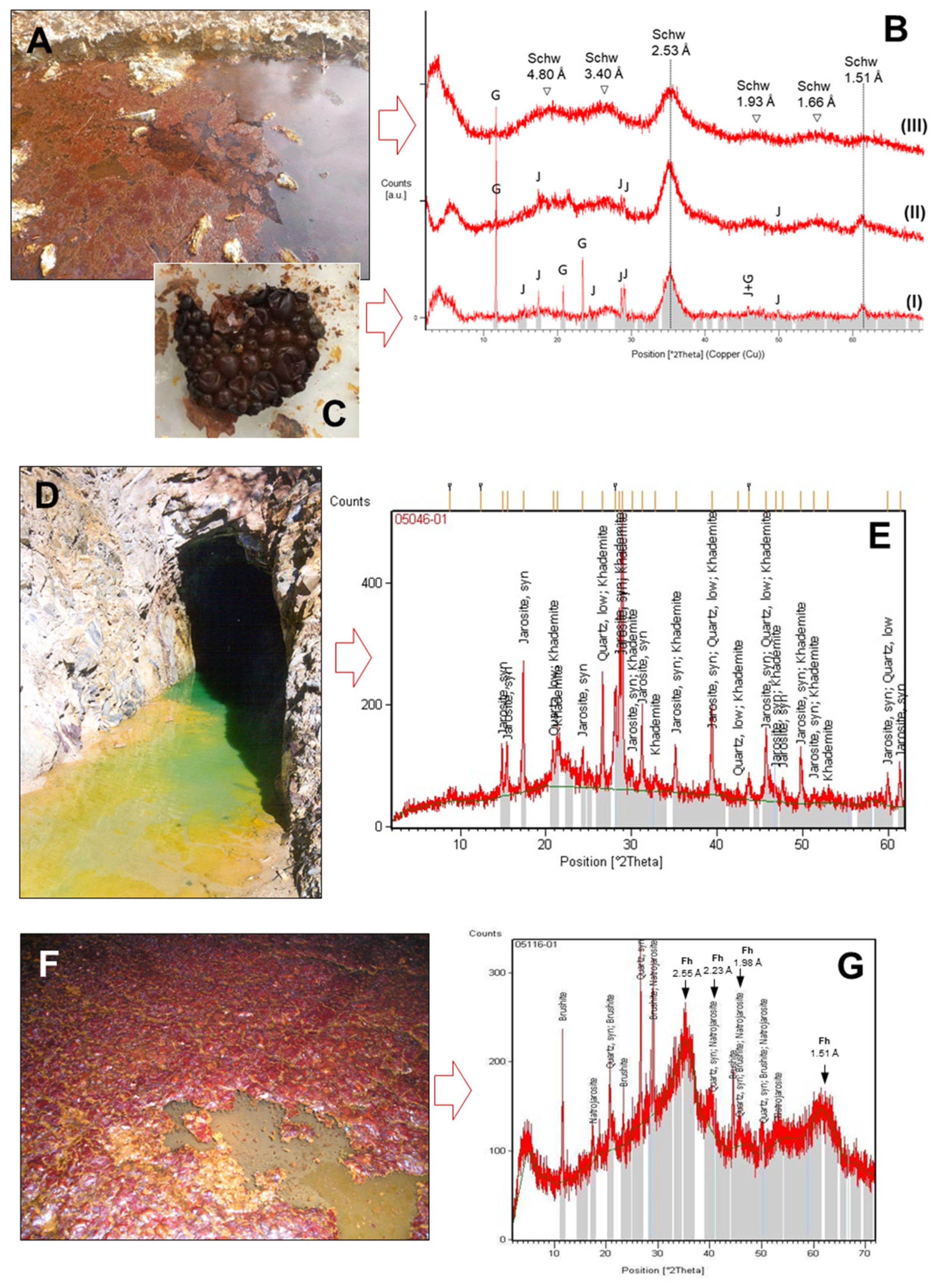 Minerals 13 00508 g006