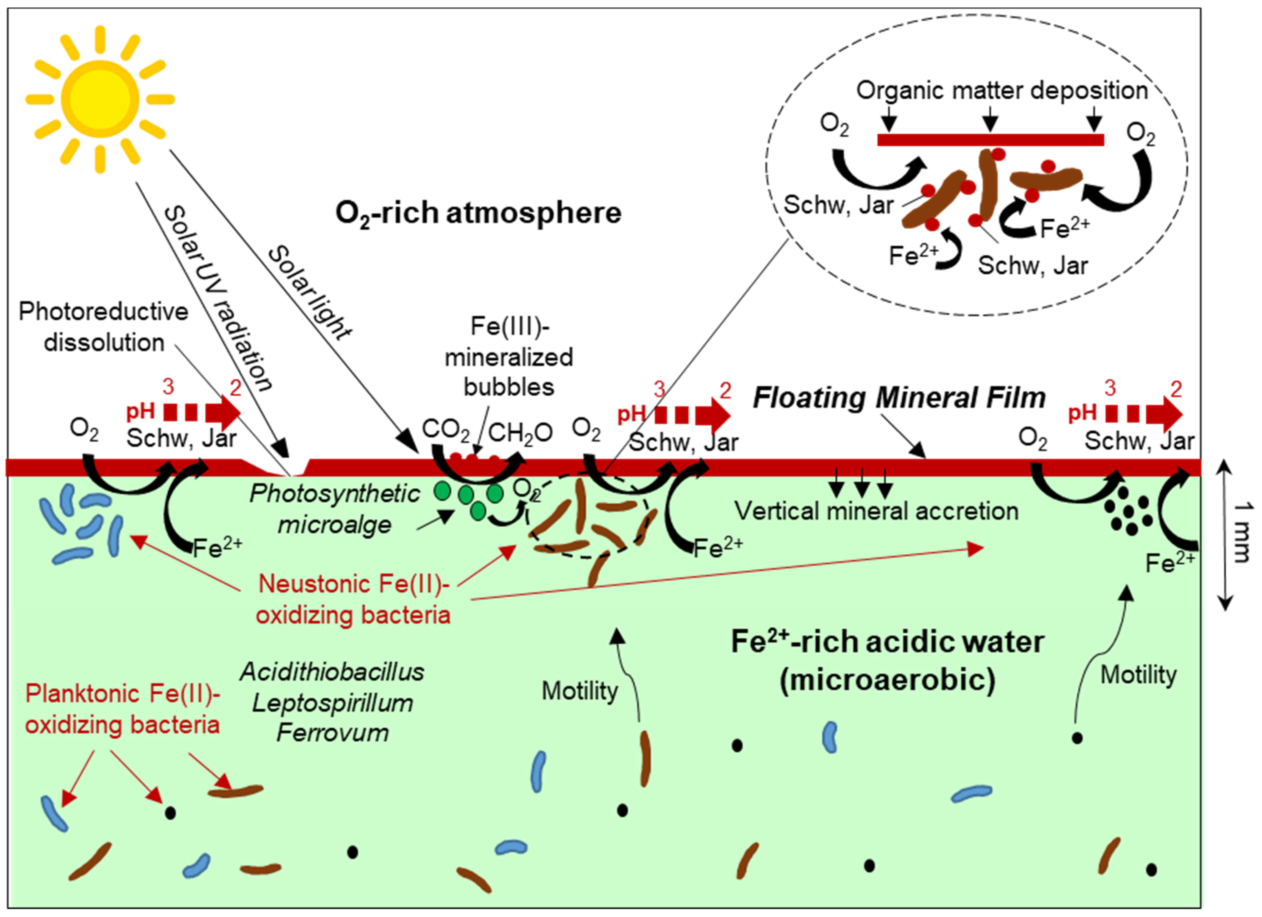 Minerals 13 00508 g009