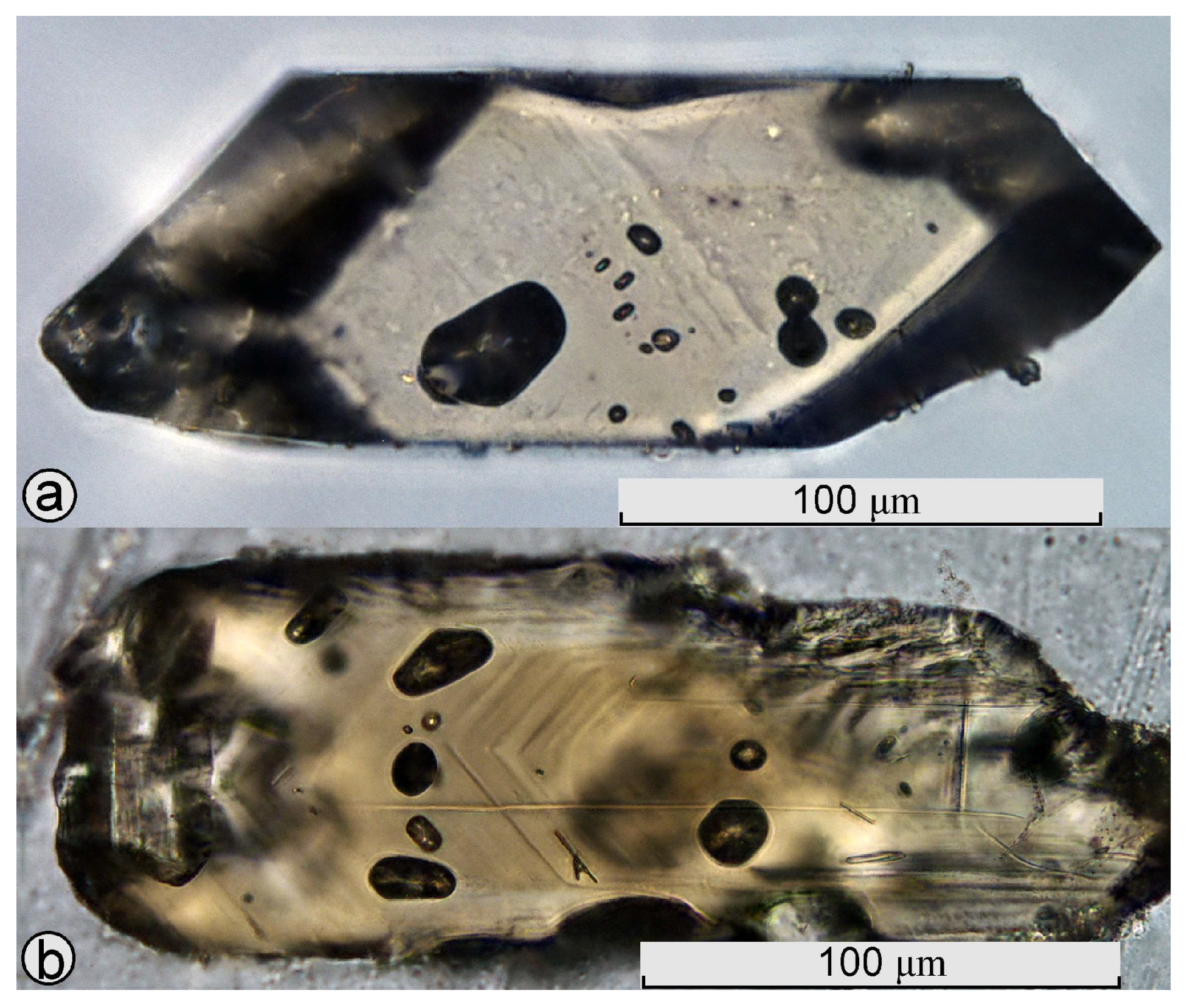 Minerals 13 00527 g015