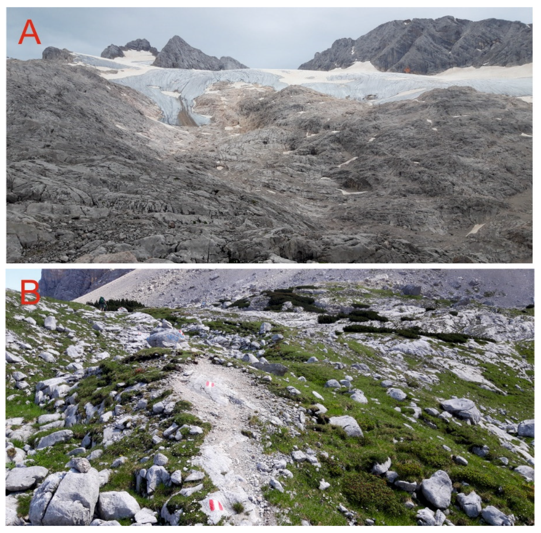 Minerals 13 00530 g002