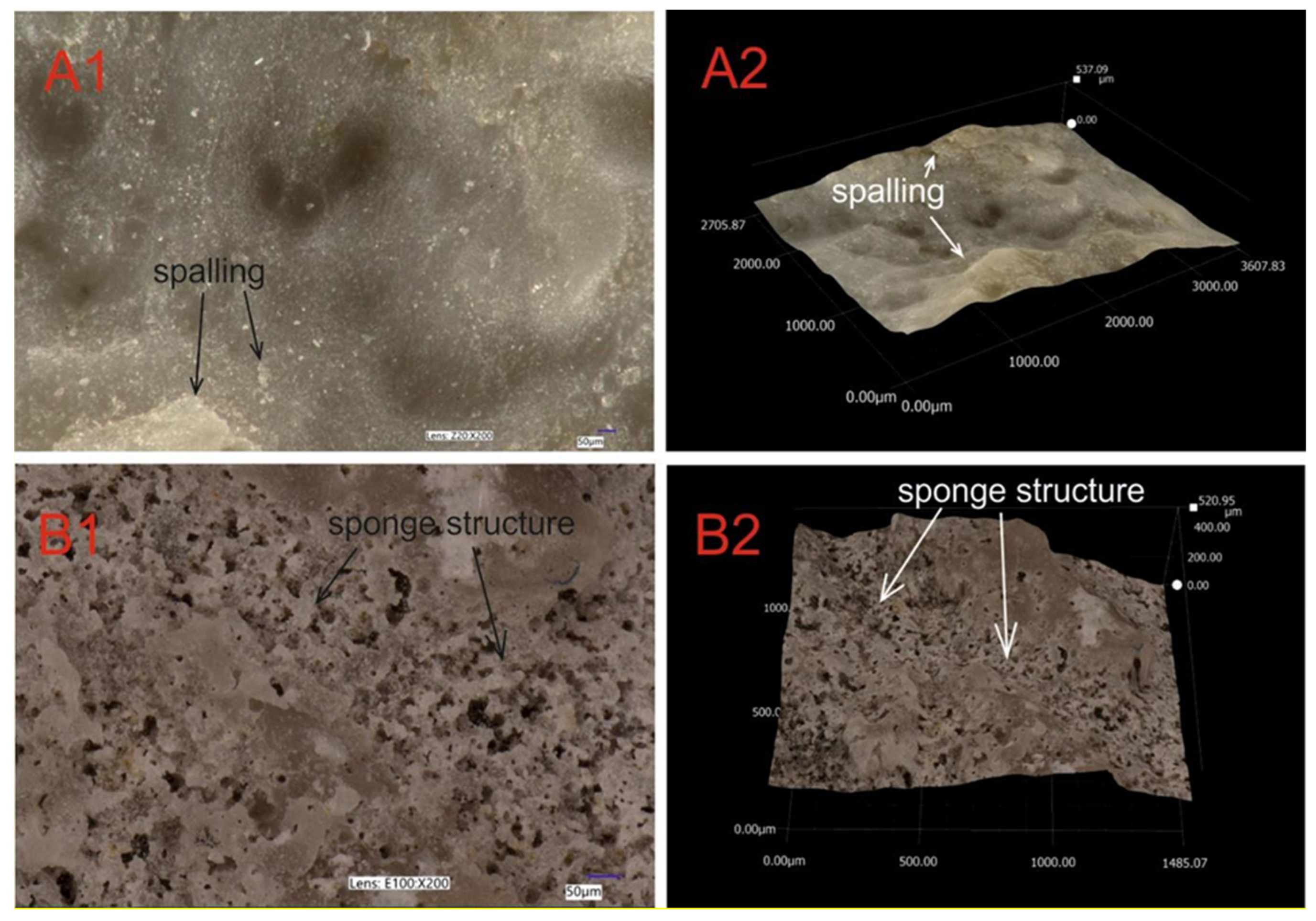 Minerals 13 00530 g010