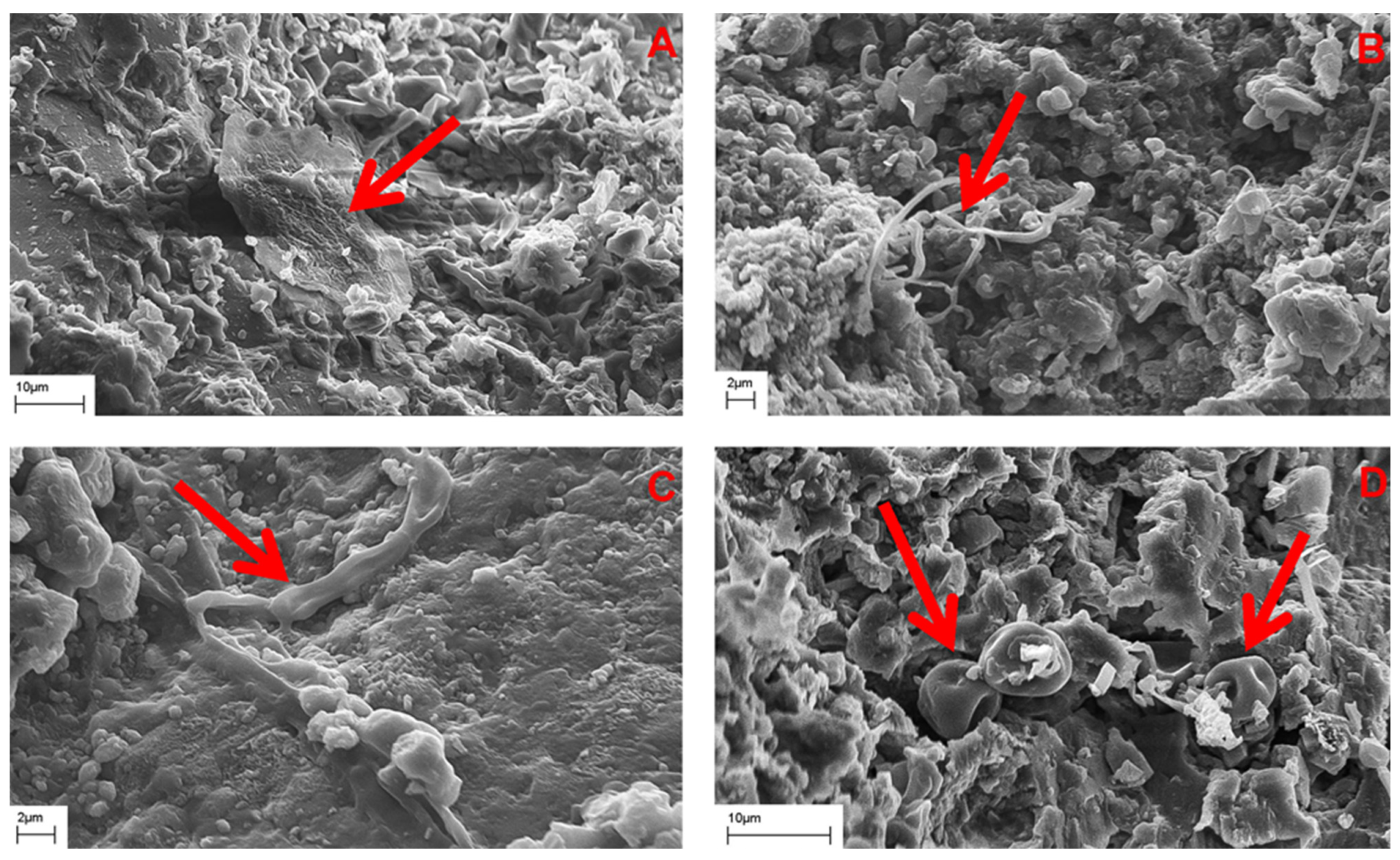 Minerals 13 00530 g016