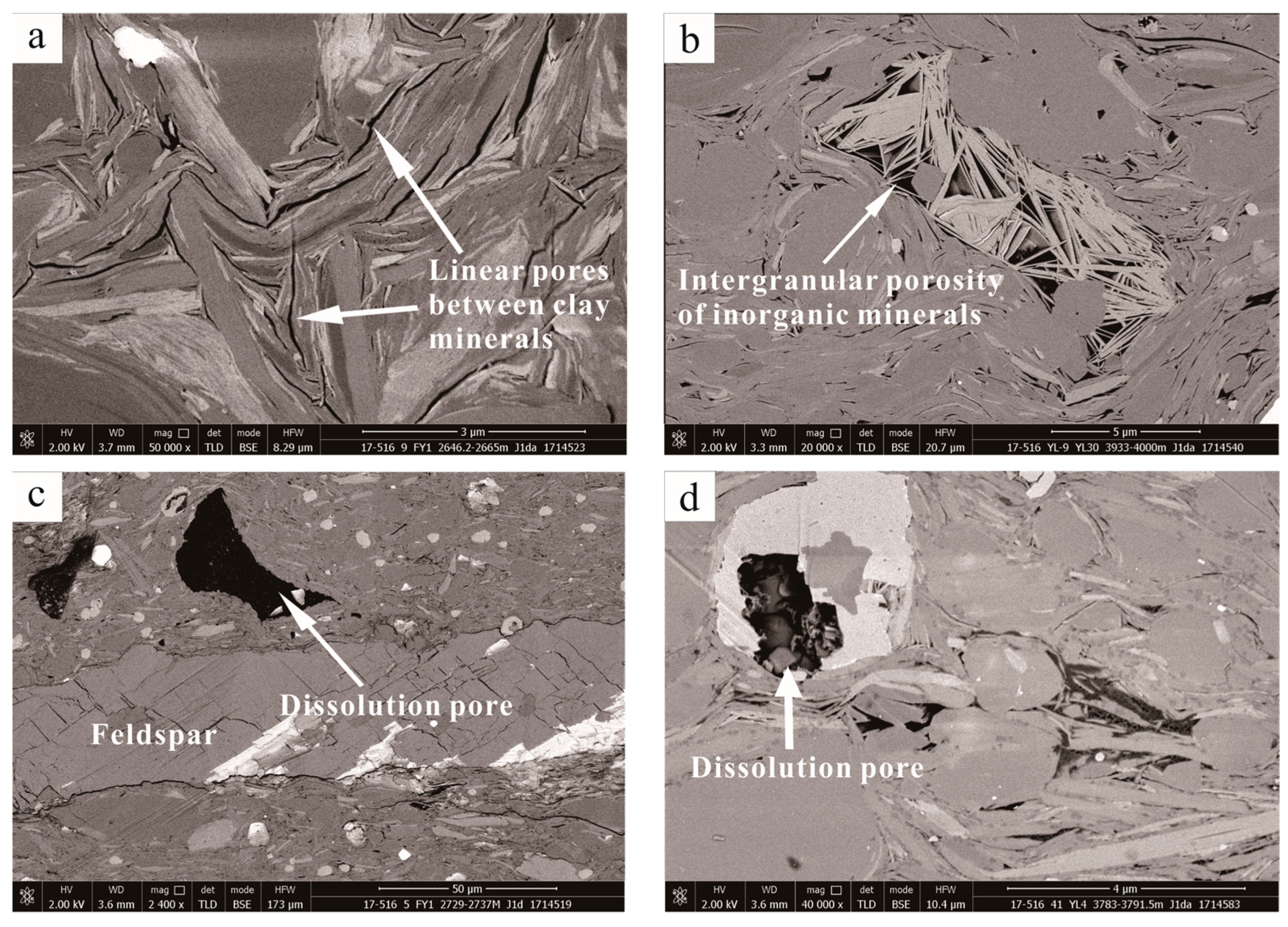 Minerals 13 00535 g004