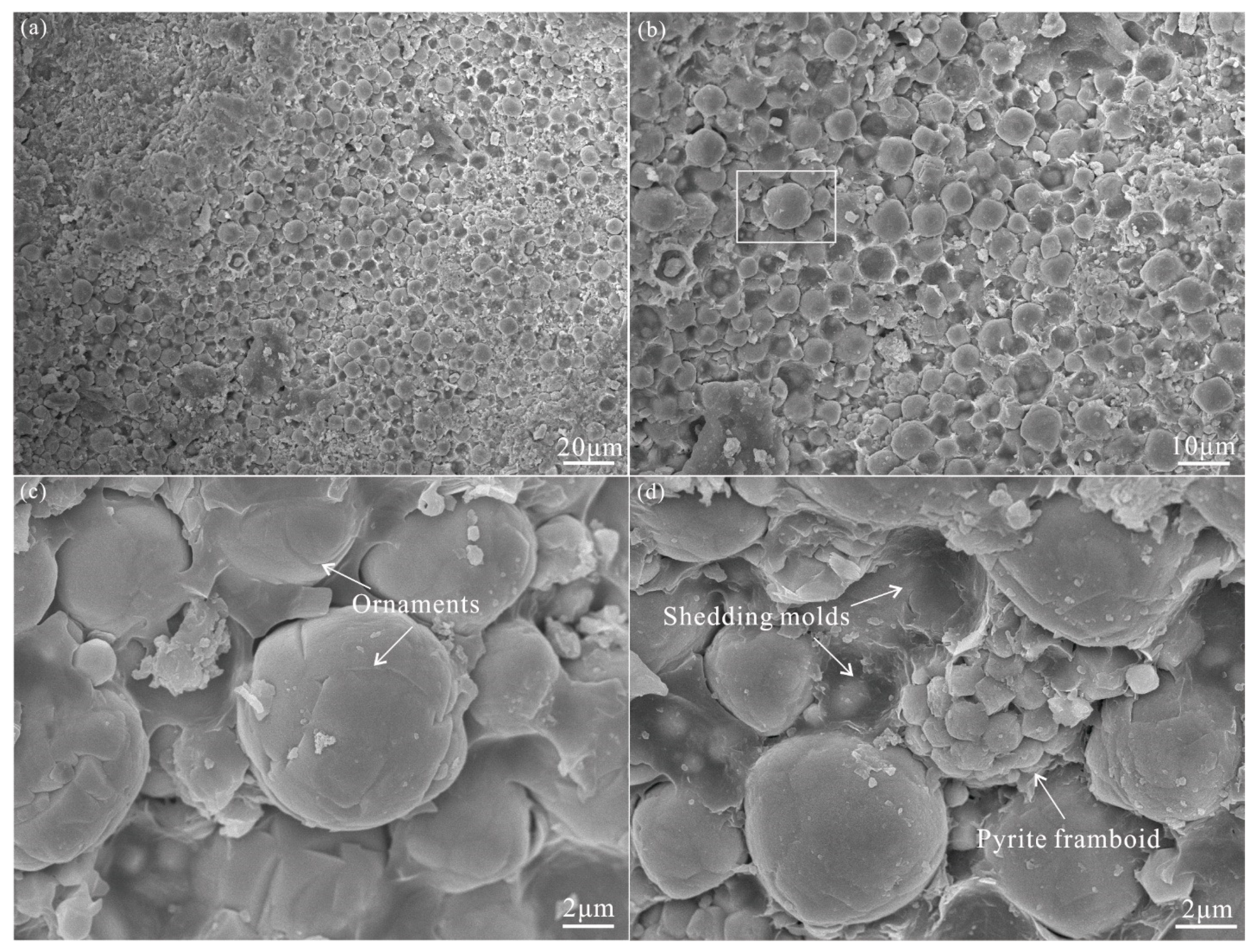 Minerals 13 00537 g004