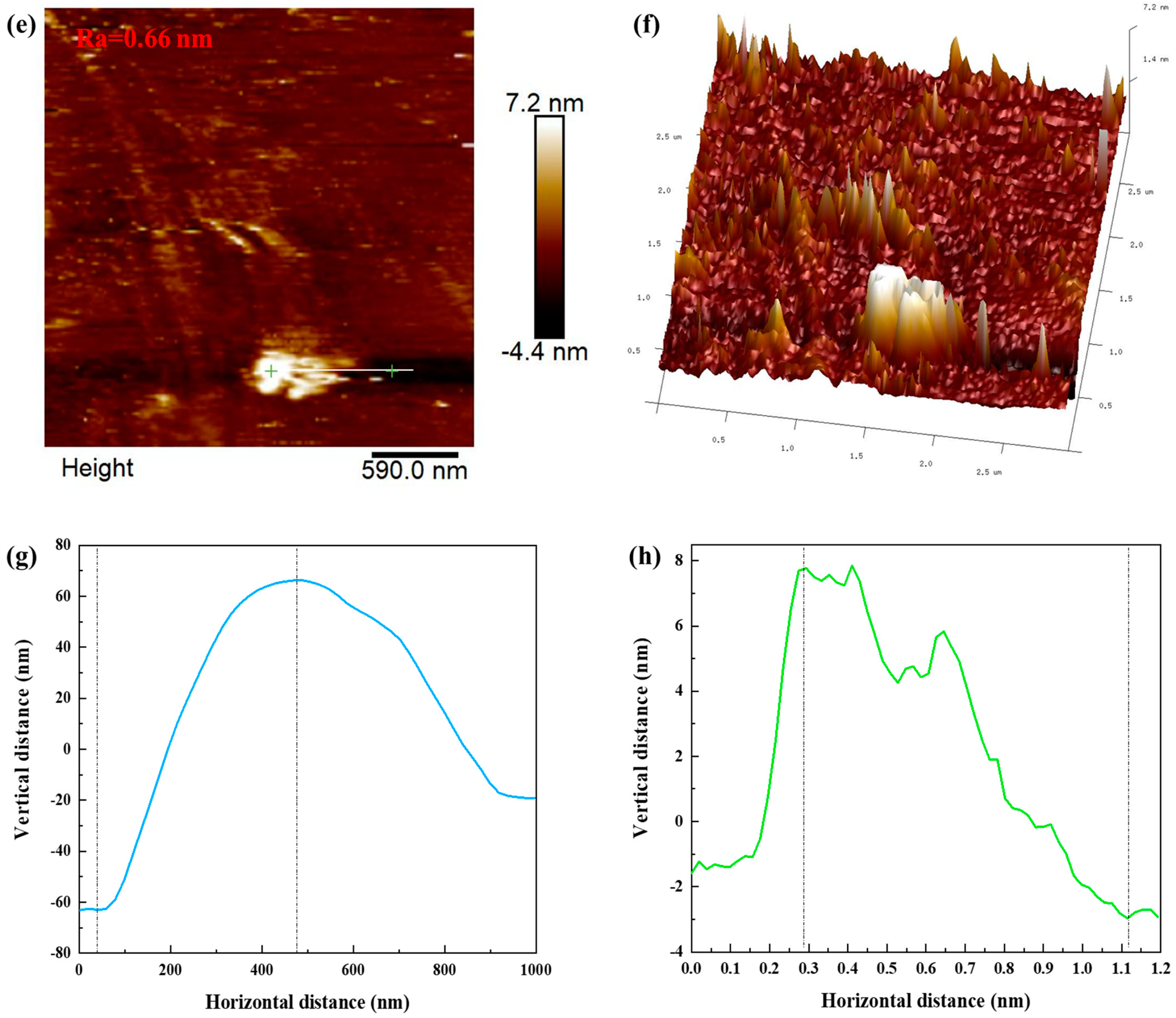 Minerals 13 00538 g009b