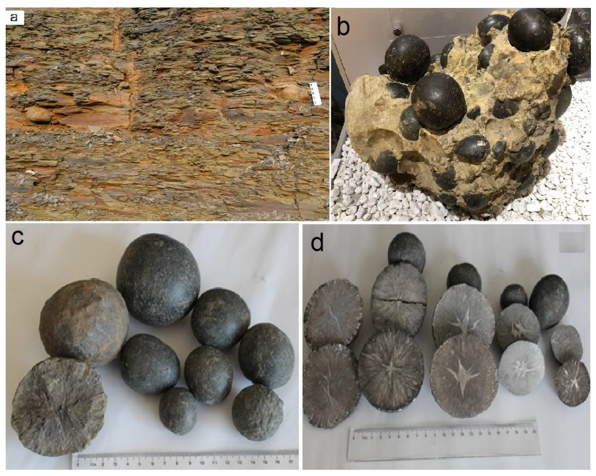 Minerals 13 00539 g004