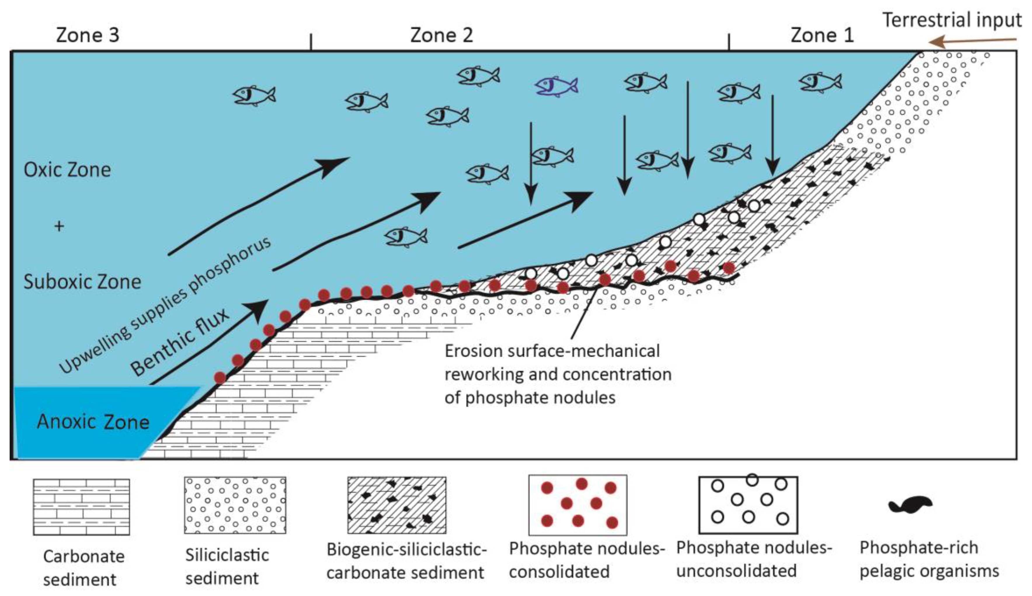 Minerals 13 00539 g009