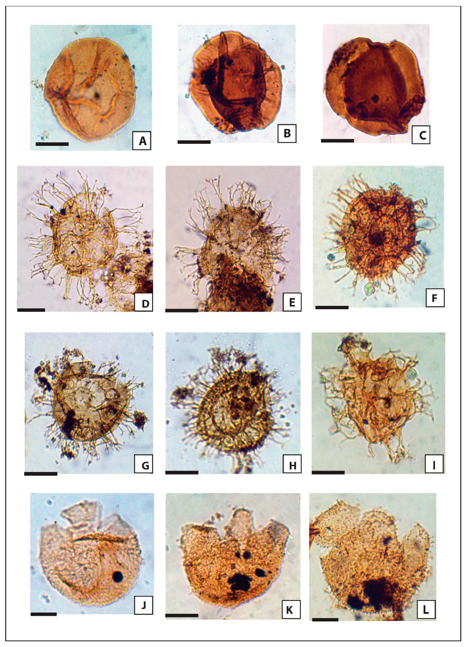 Minerals 13 00548 g003