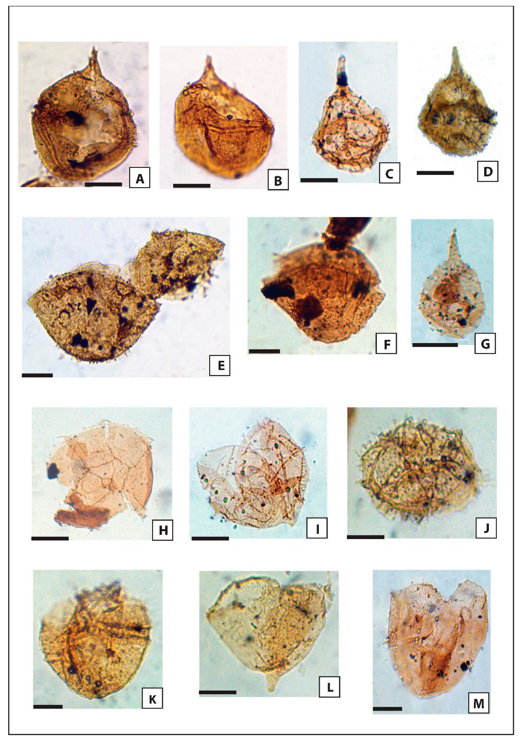 Minerals 13 00548 g004
