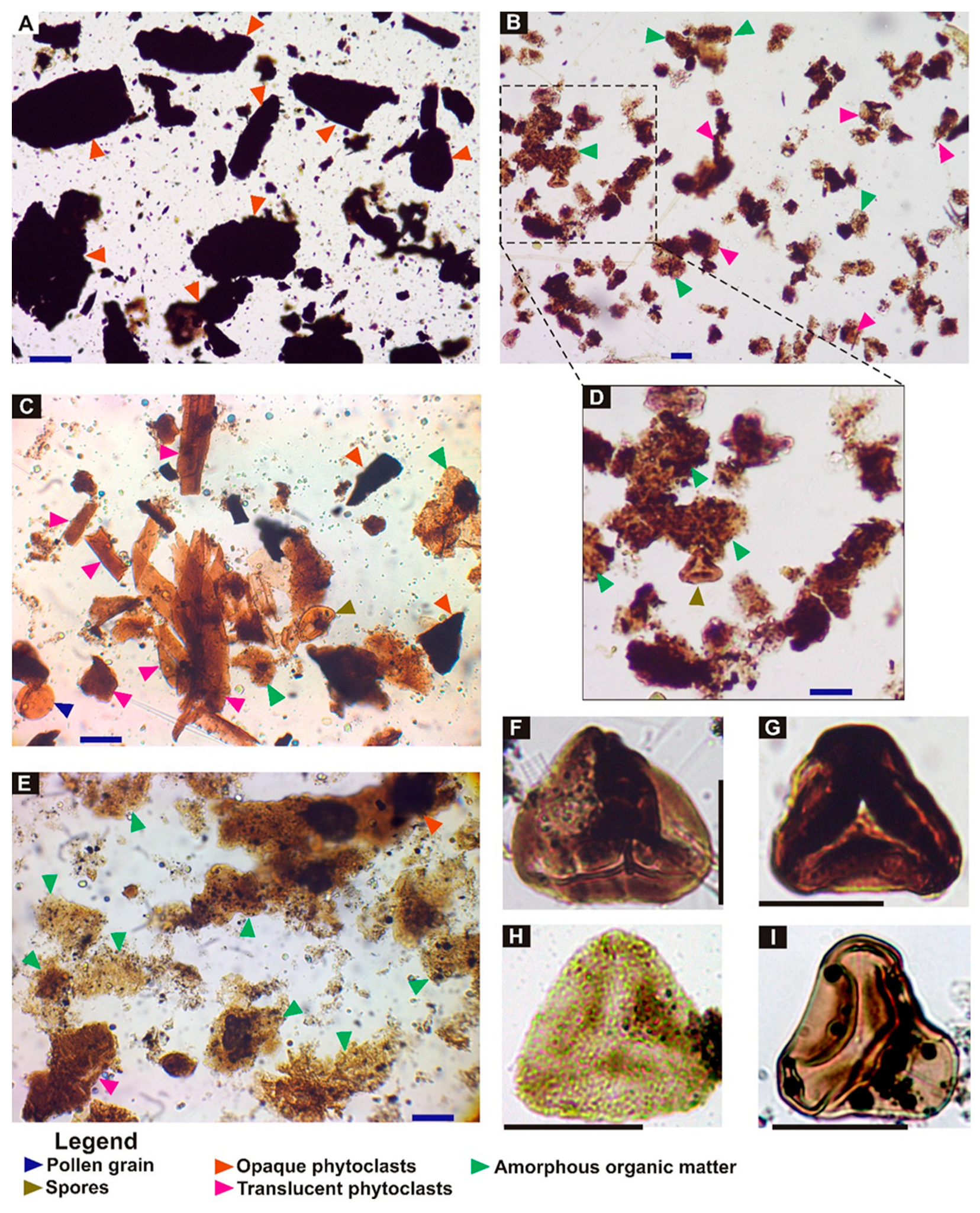 Minerals 13 00548 g005