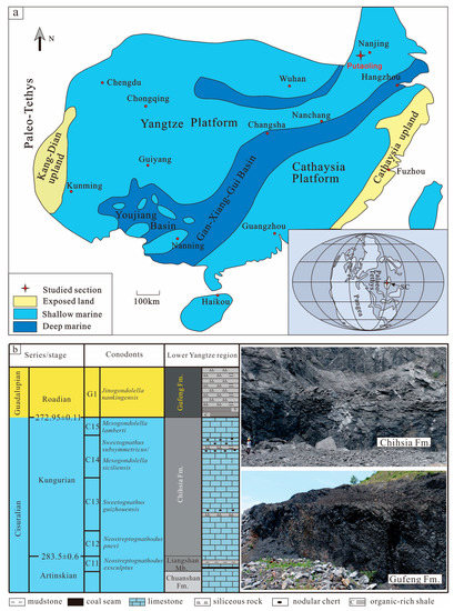 Minerals 13 00551 g001