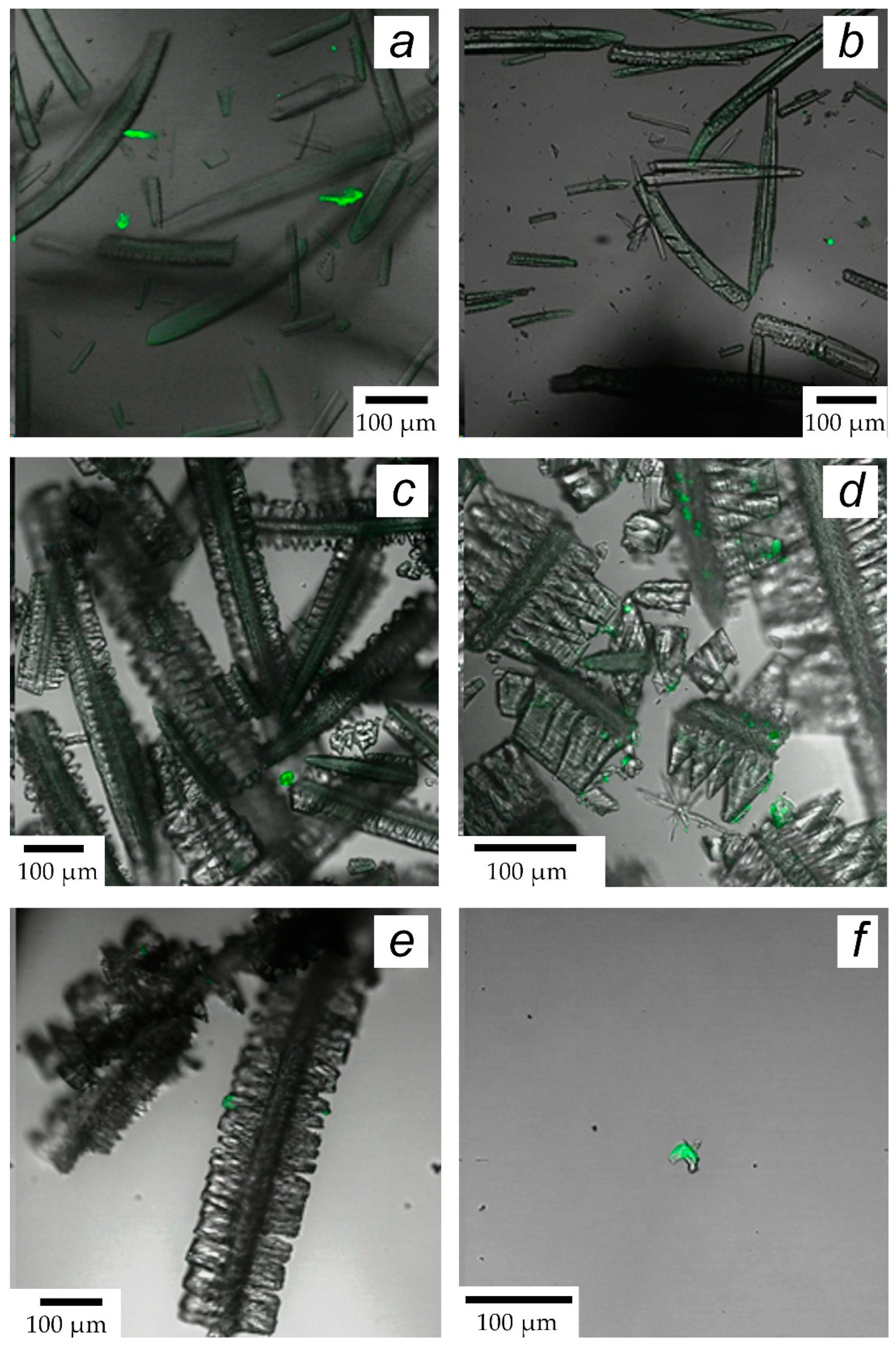 Minerals 13 00559 g004 Minerals 13 00559 g004