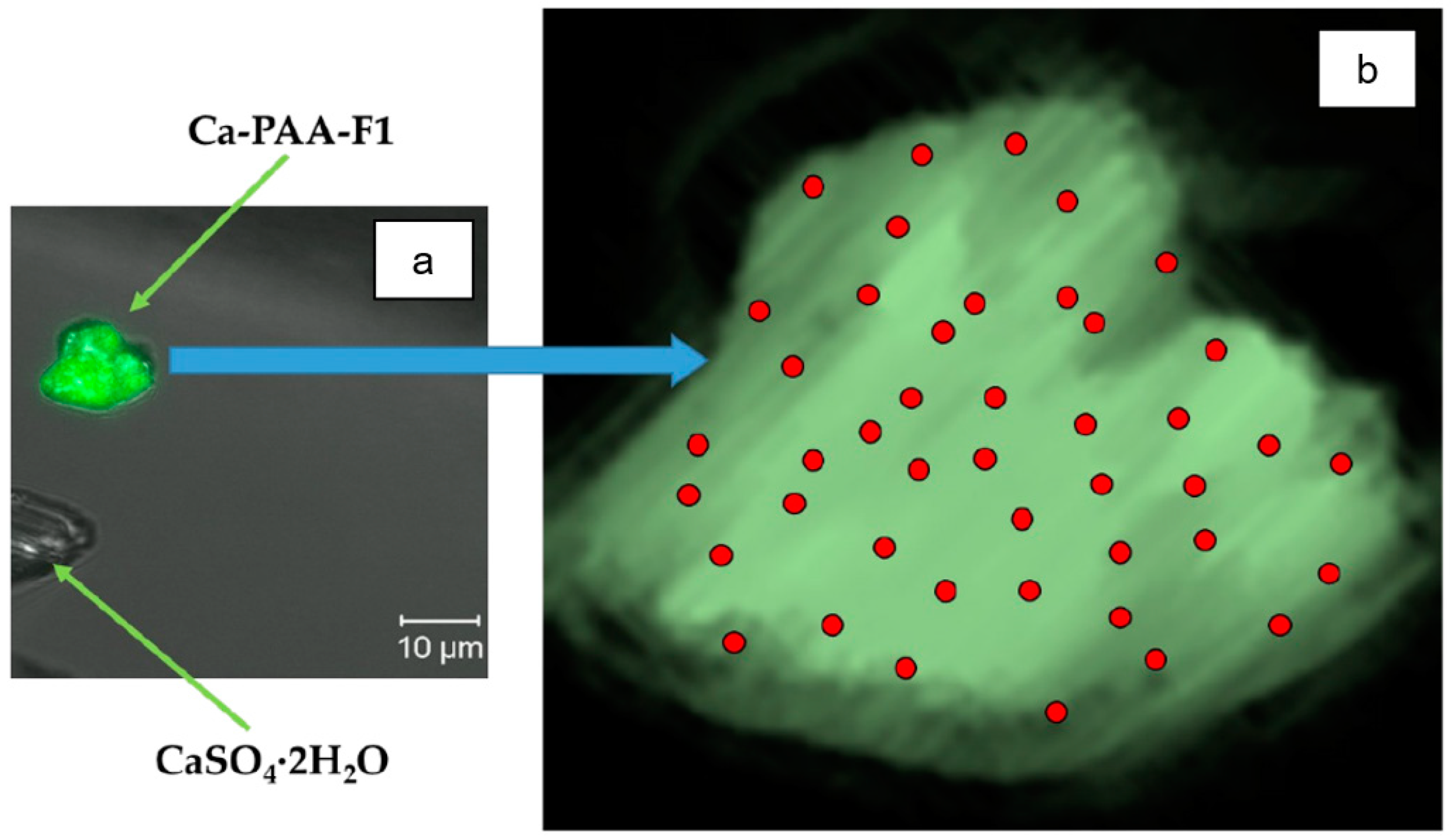 Minerals 13 00559 g009 Minerals 13 00559 g009