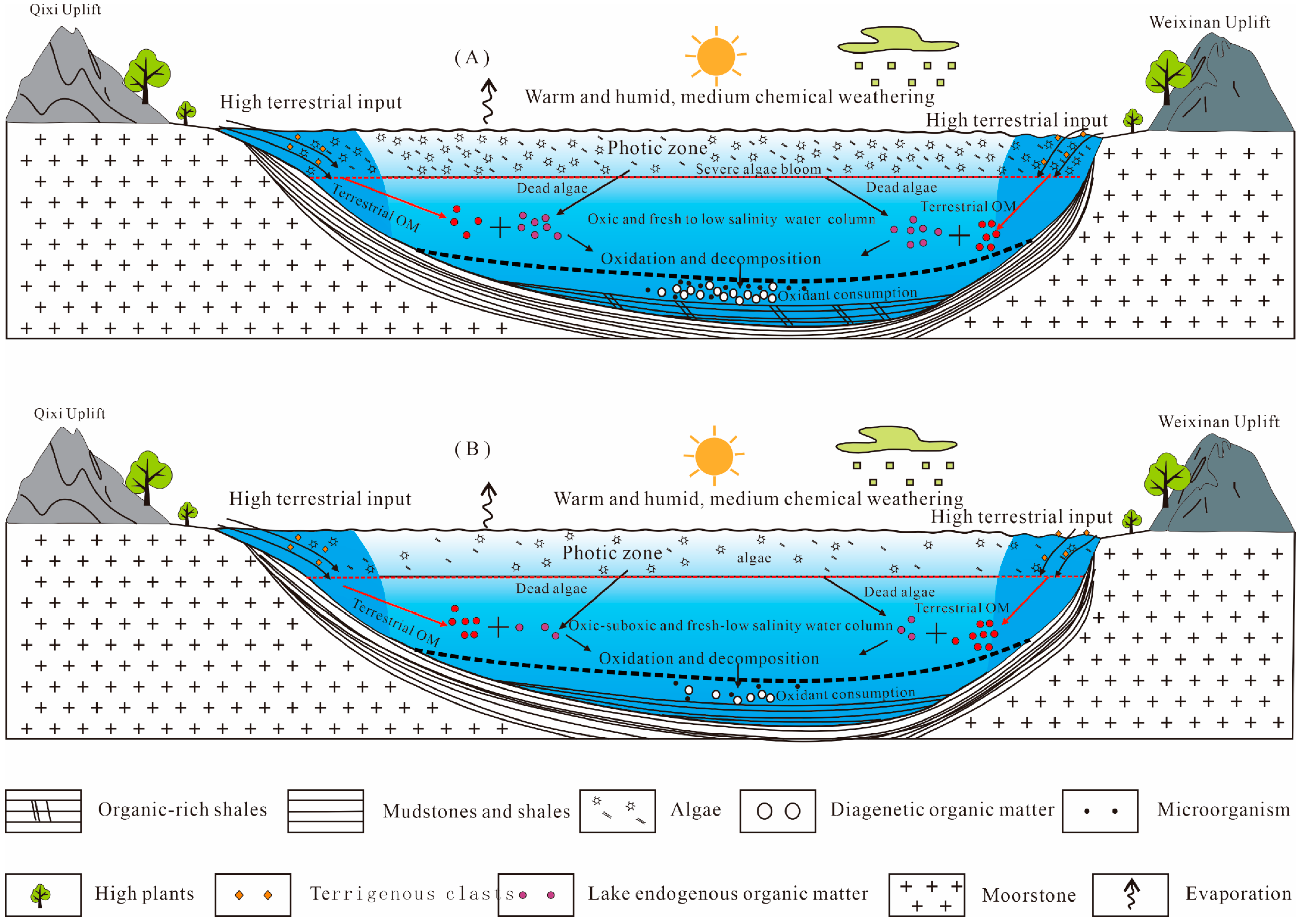 Minerals 13 00575 g011