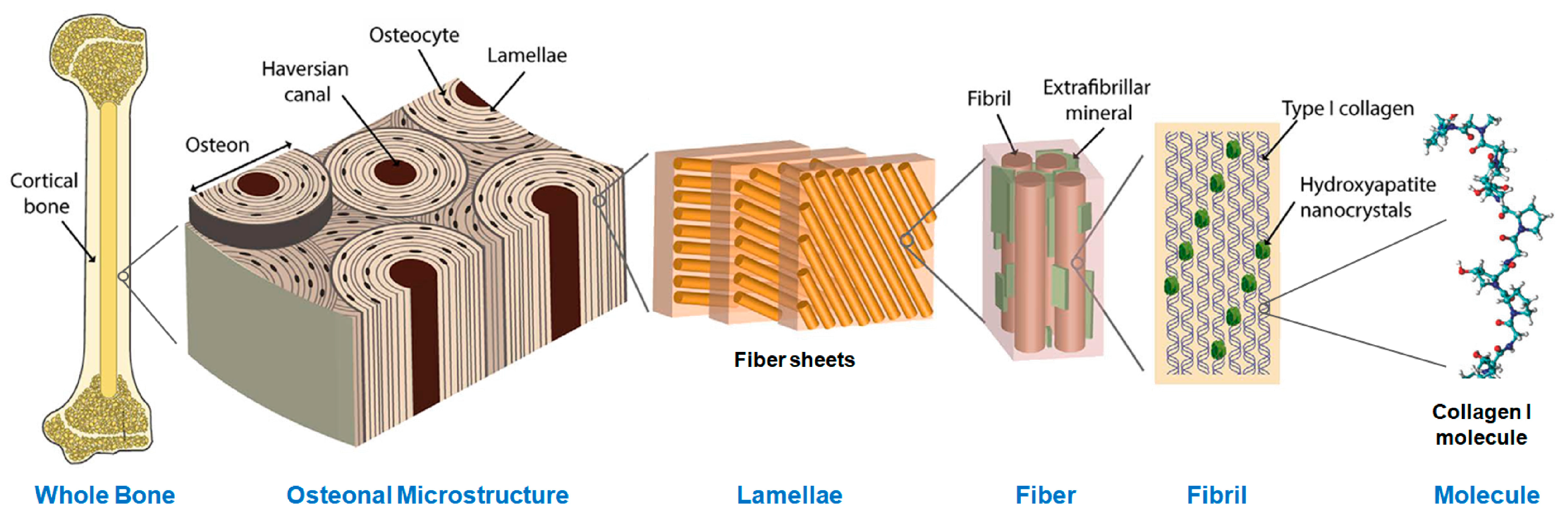 Minerals 13 00596 g001