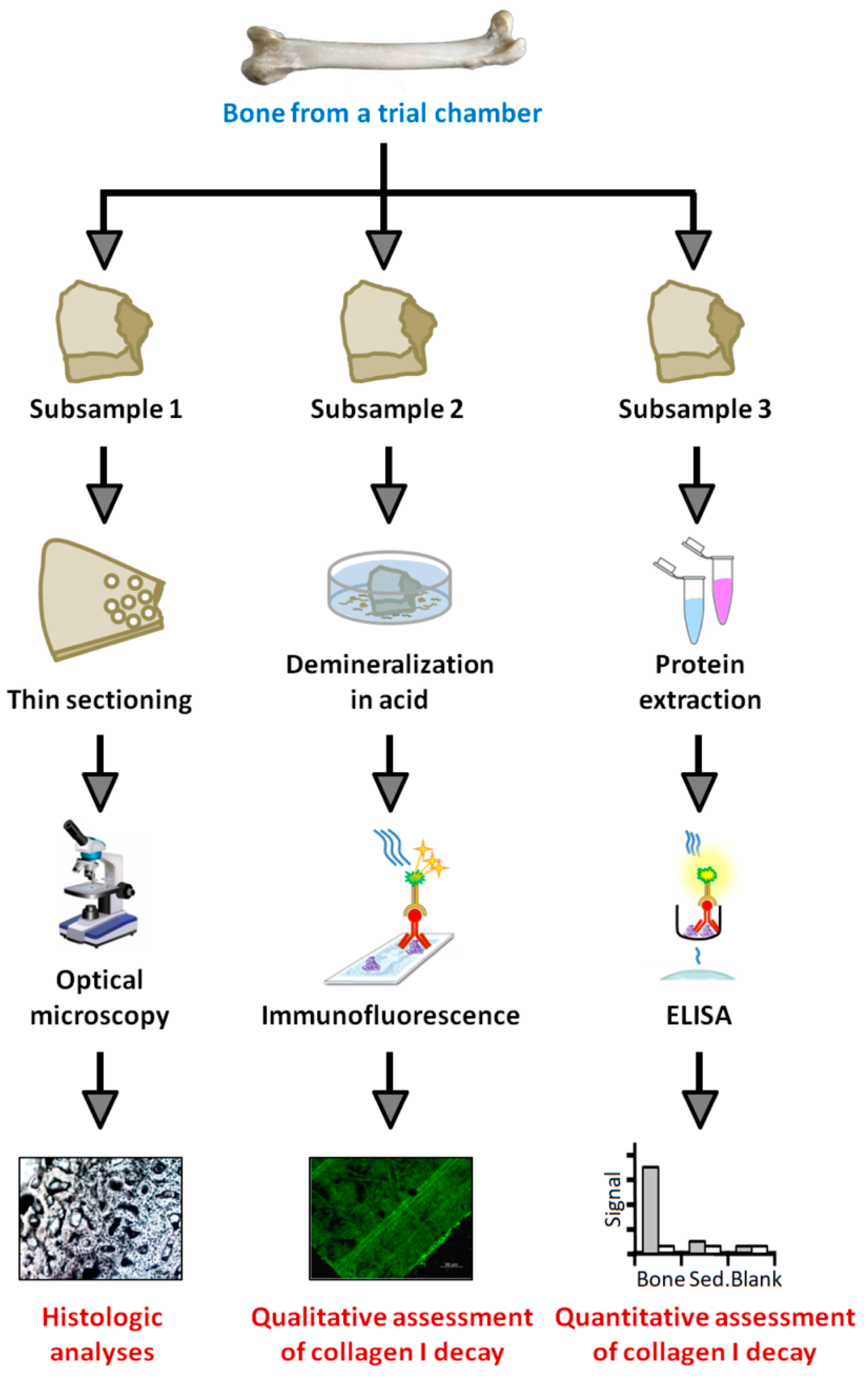 Minerals 13 00596 g004