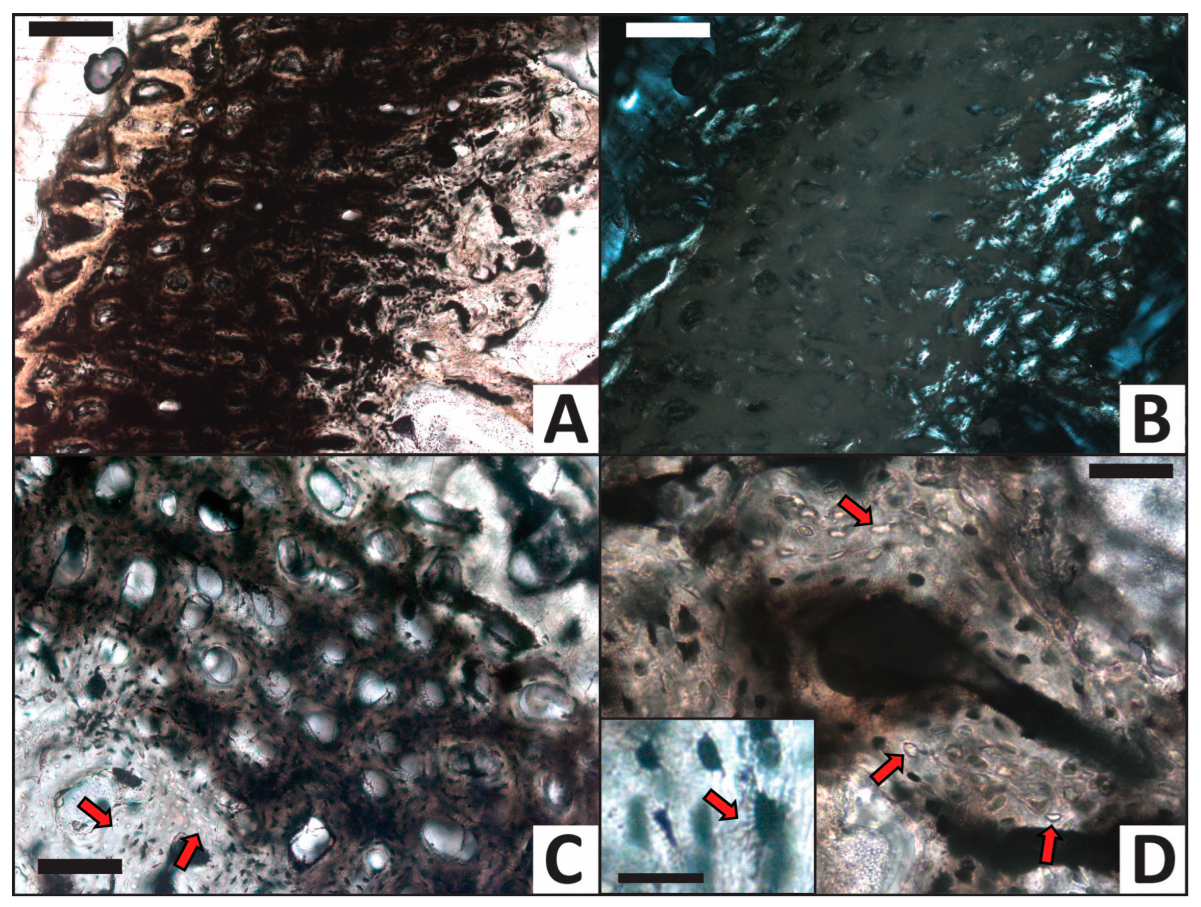 Minerals 13 00596 g006