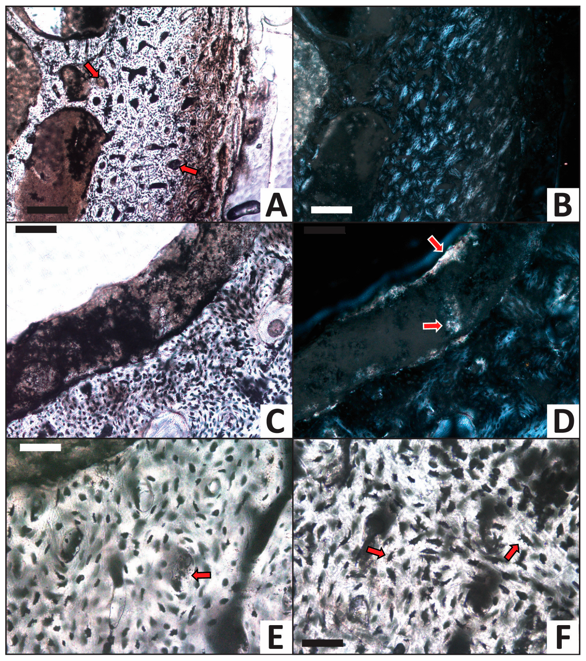 Minerals 13 00596 g007