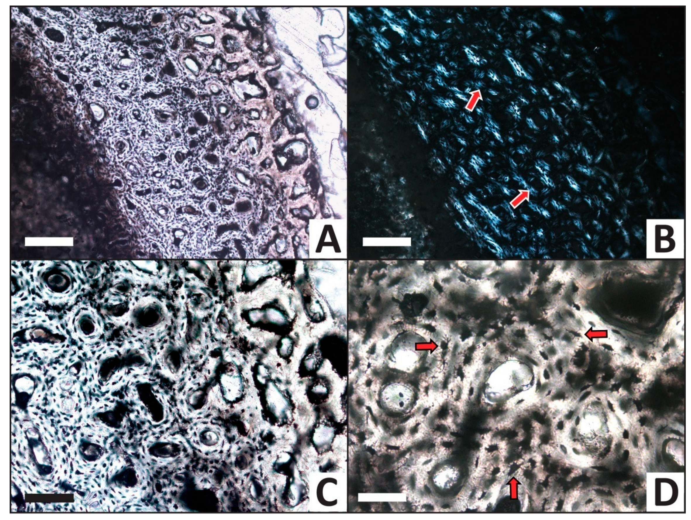 Minerals 13 00596 g008