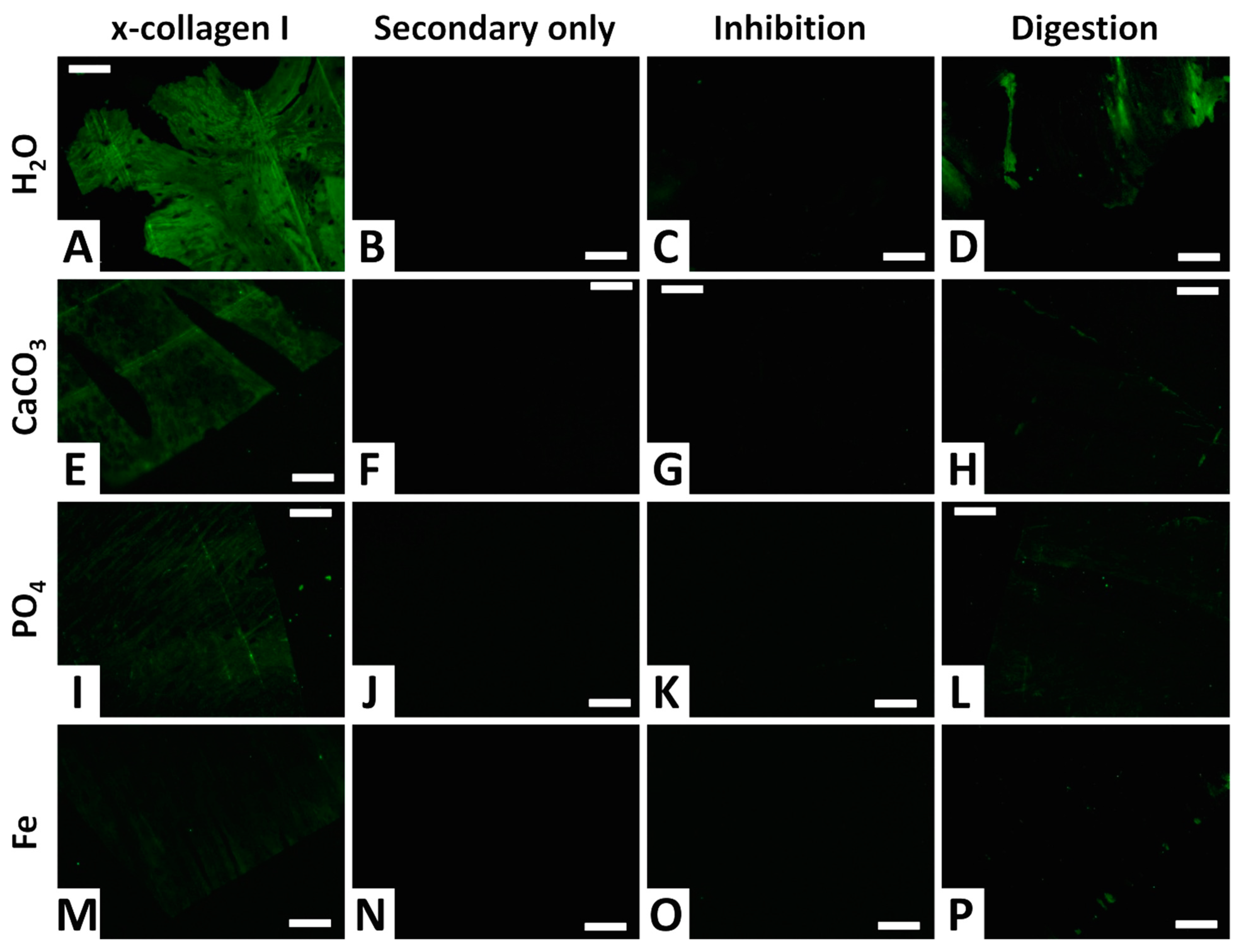 Minerals 13 00596 g011