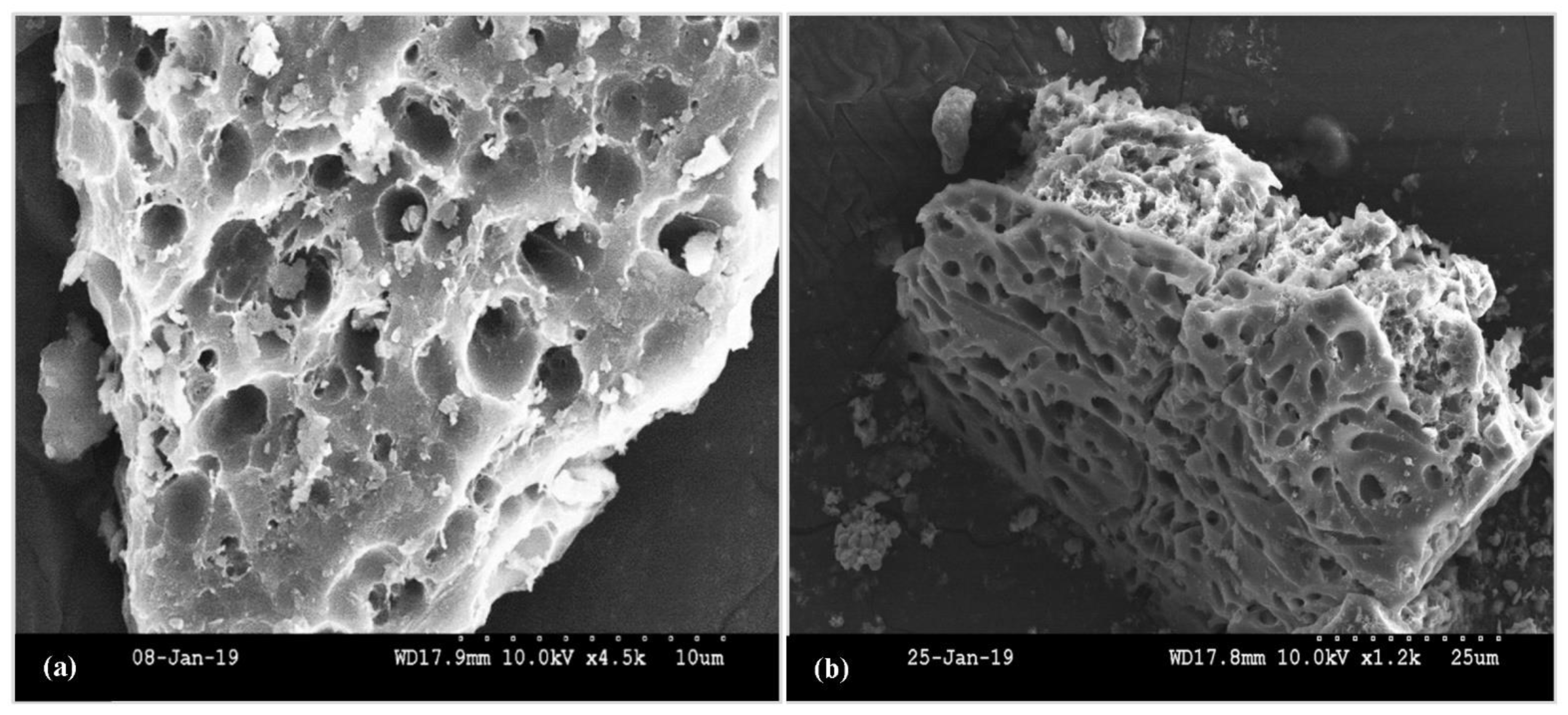 Minerals 13 00614 g008