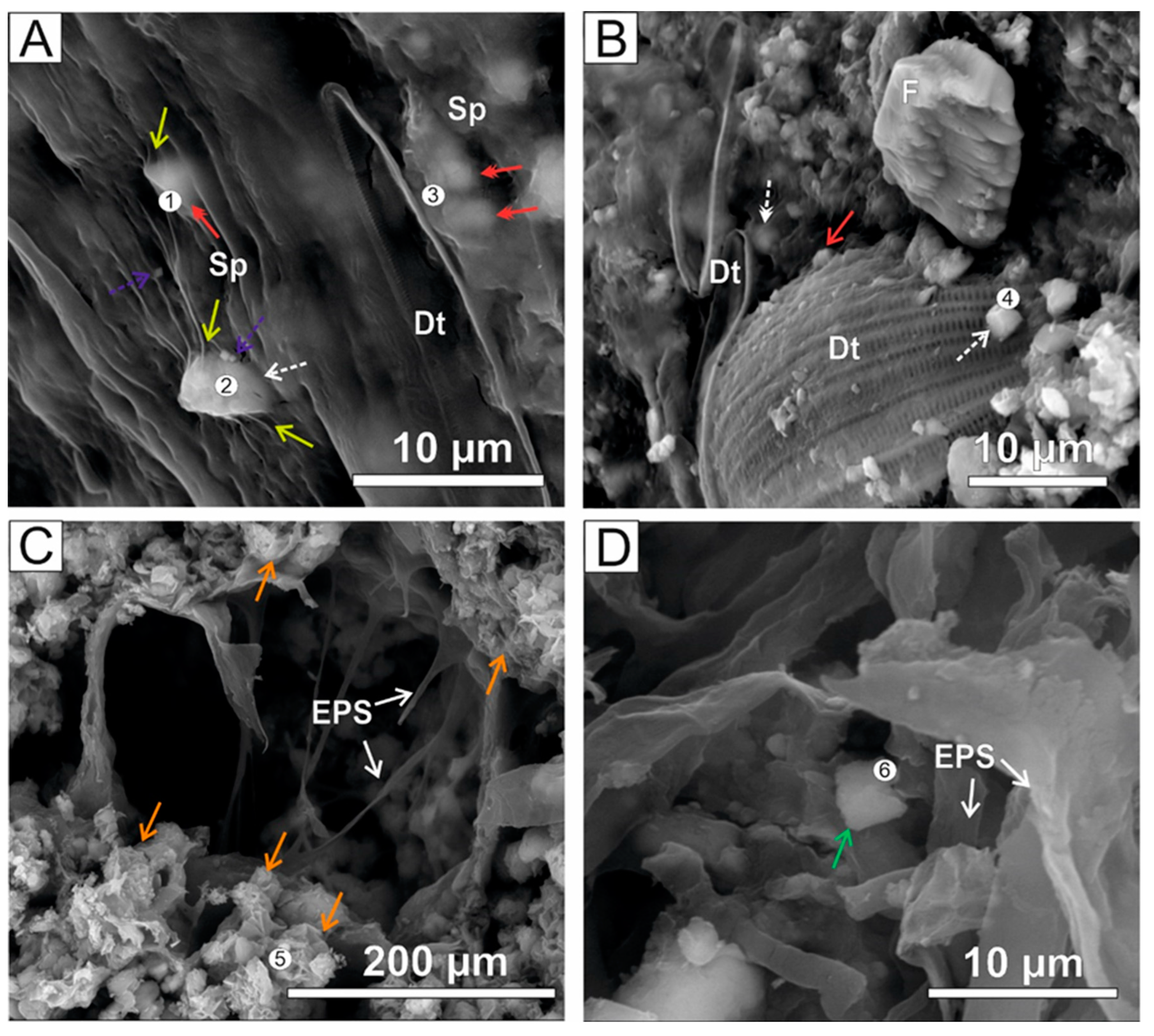 Minerals 13 00617 g004