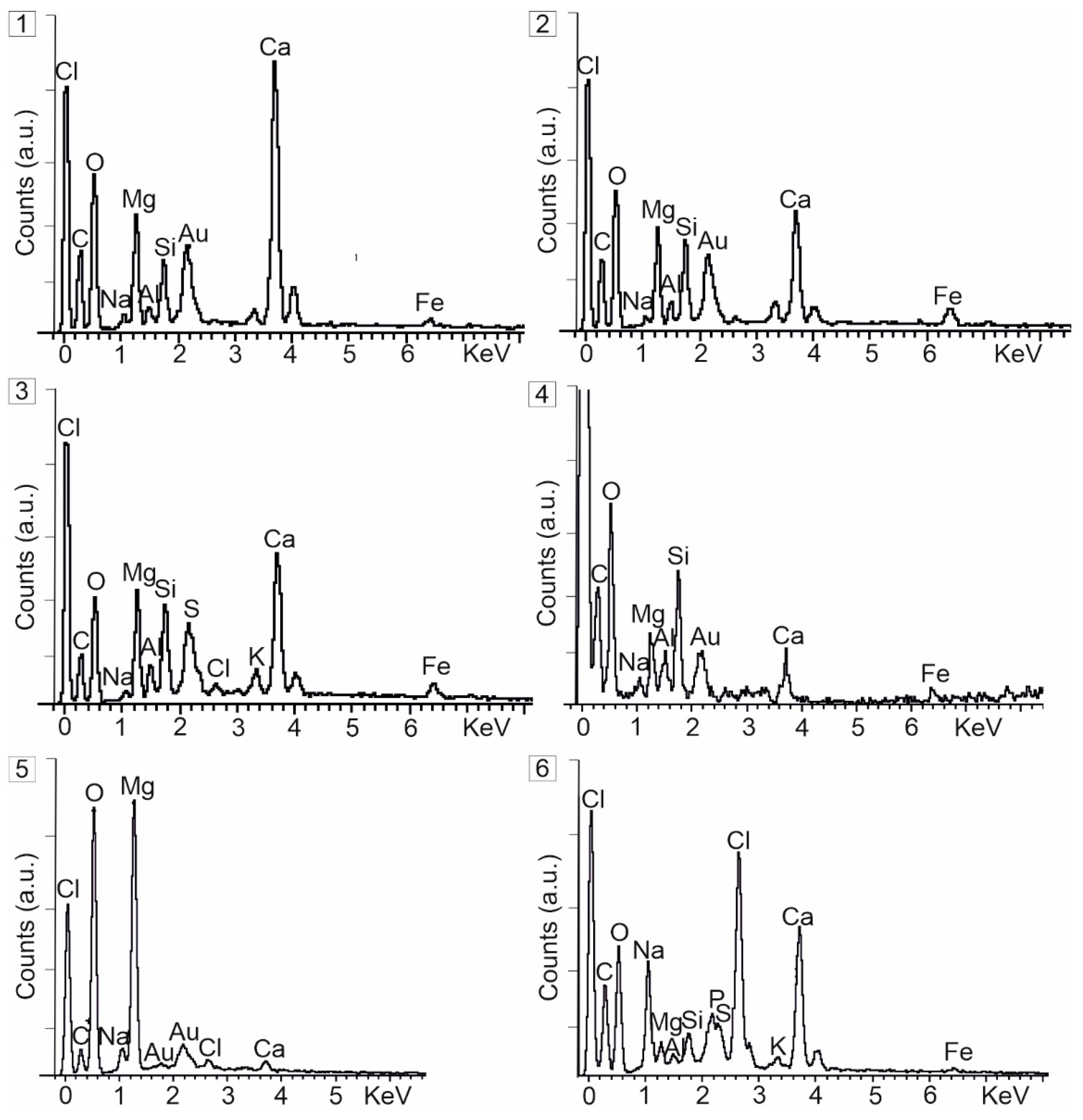 Minerals 13 00617 g005