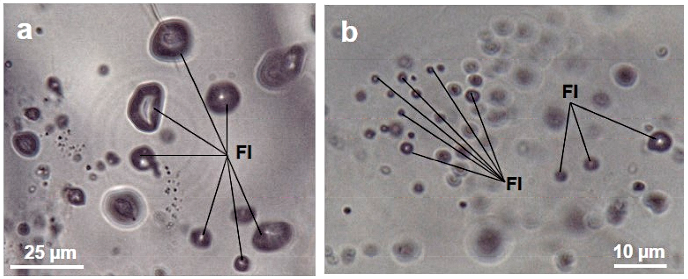 Minerals 13 00618 g002 Minerals 13 00618 g002