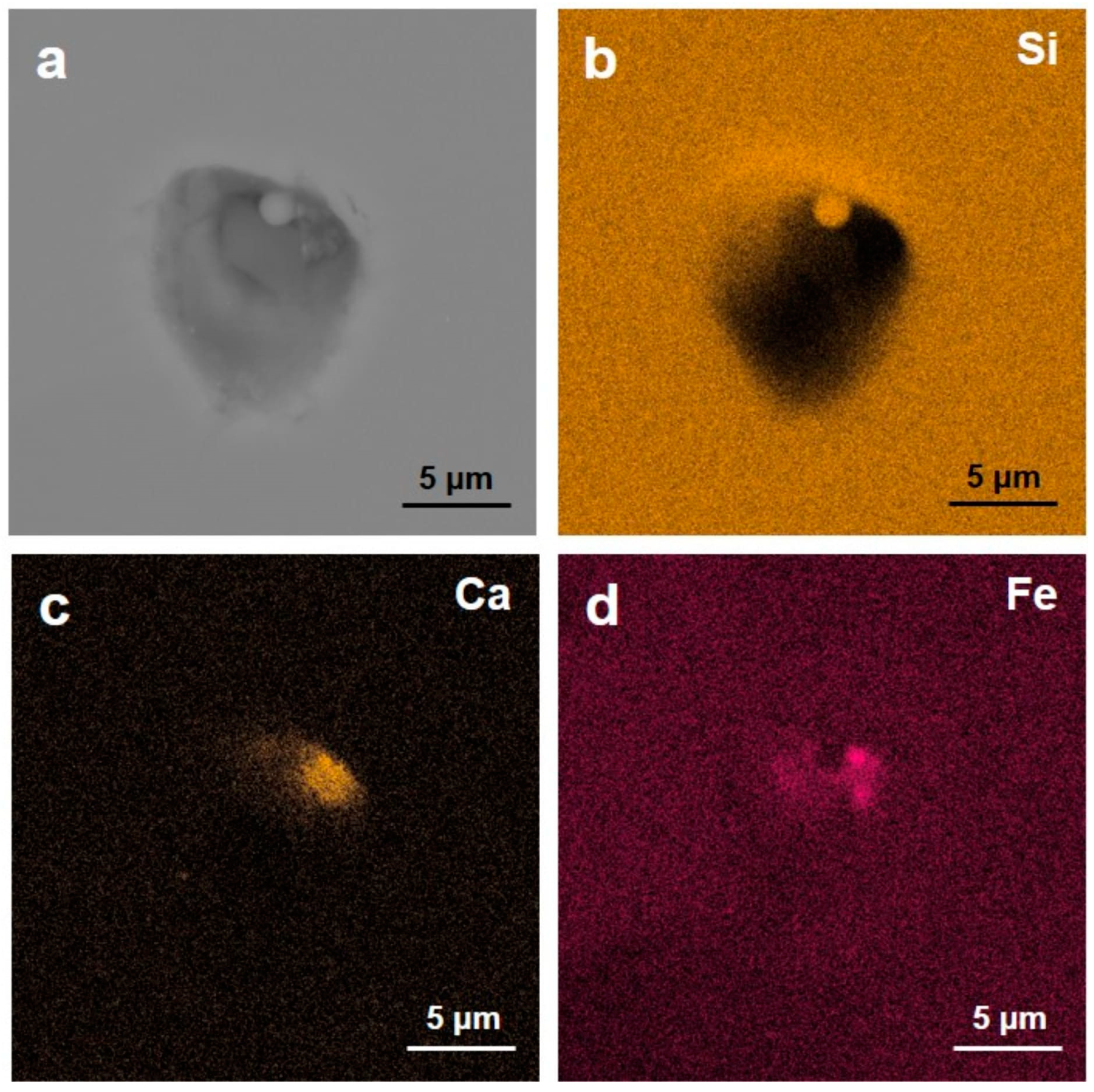 Minerals 13 00618 g003 Minerals 13 00618 g003