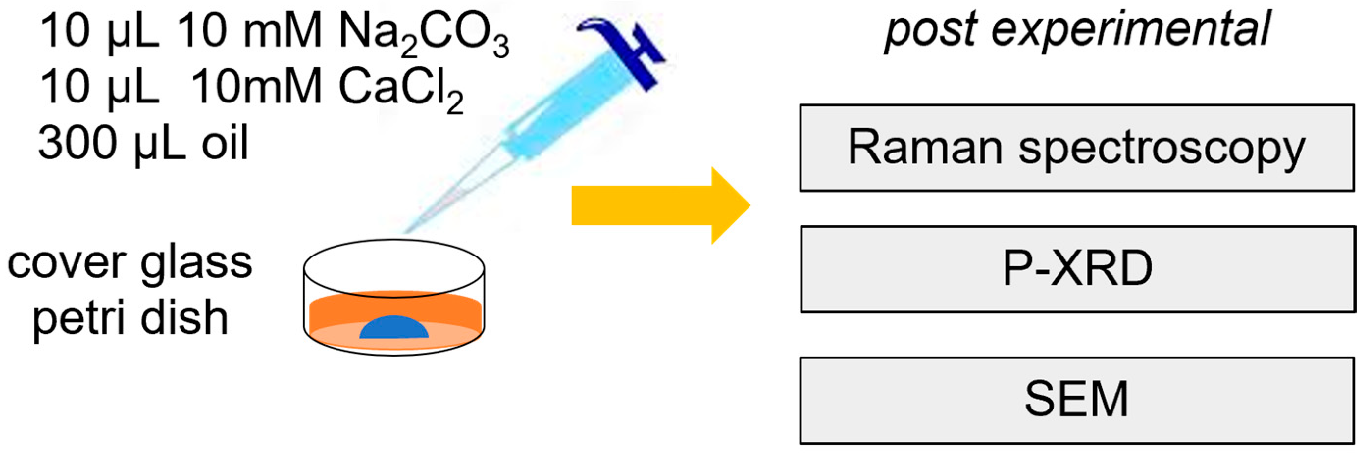 Minerals 13 00636 g001
