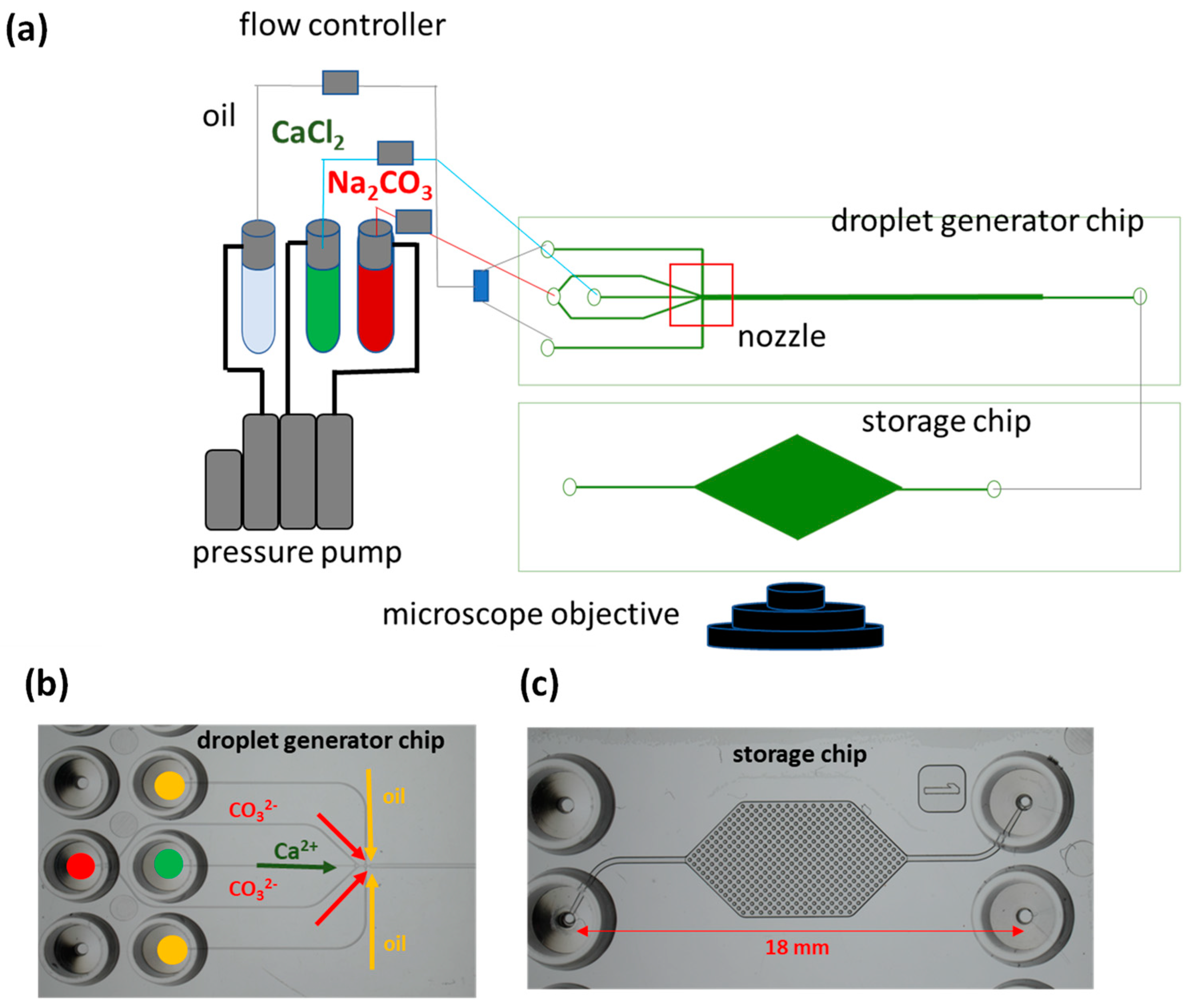 Minerals 13 00636 g002