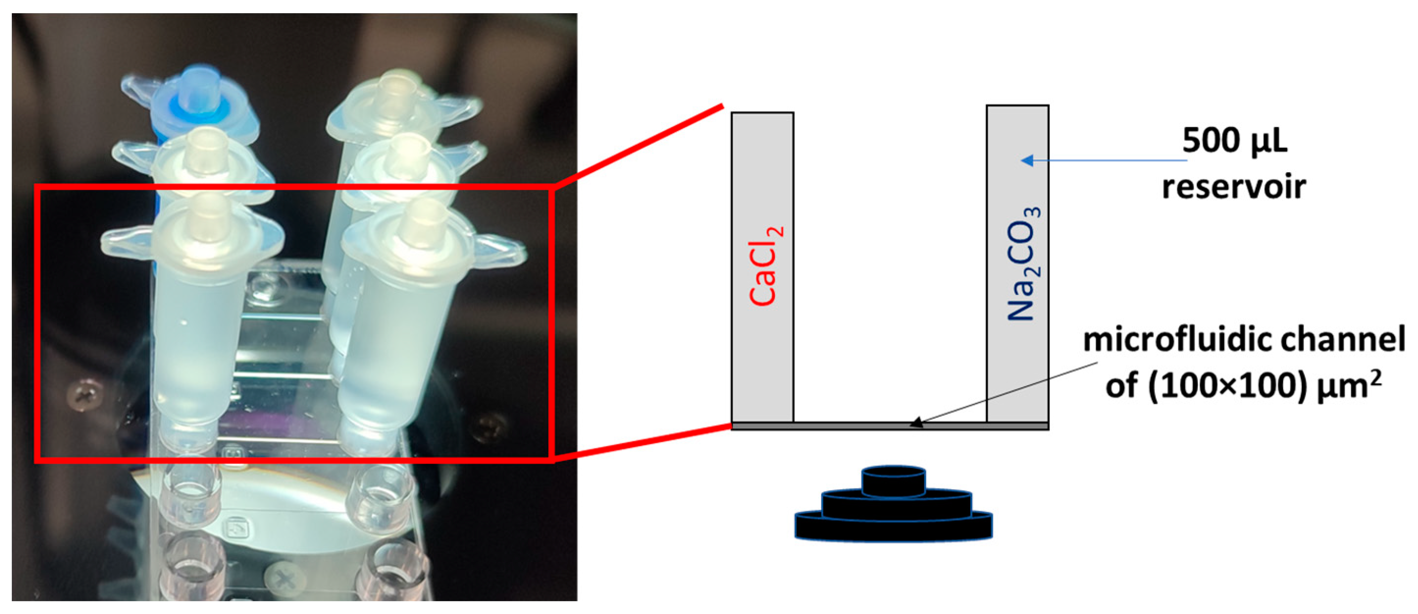 Minerals 13 00636 g003