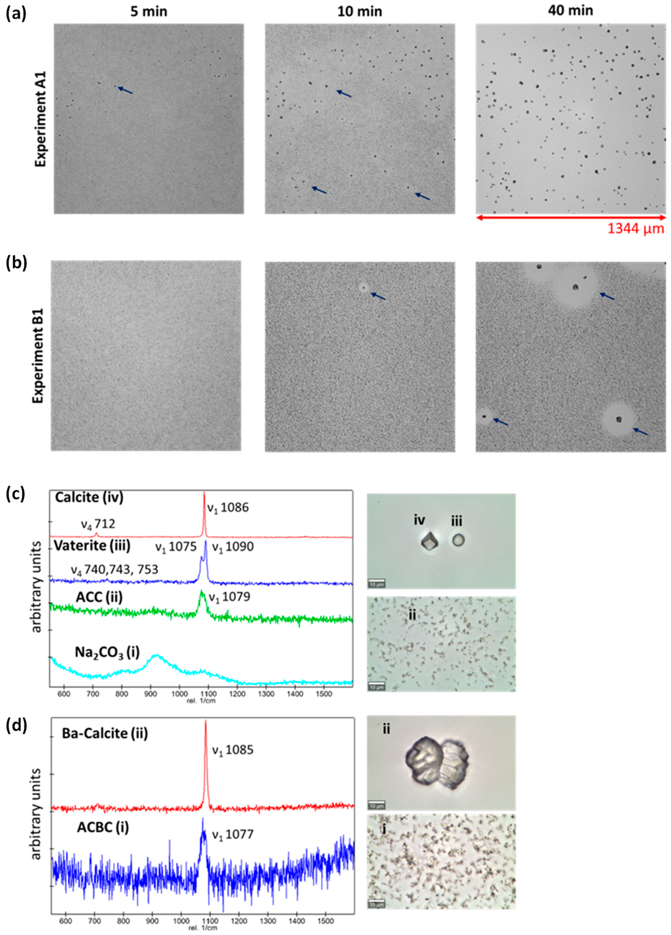 Minerals 13 00636 g004