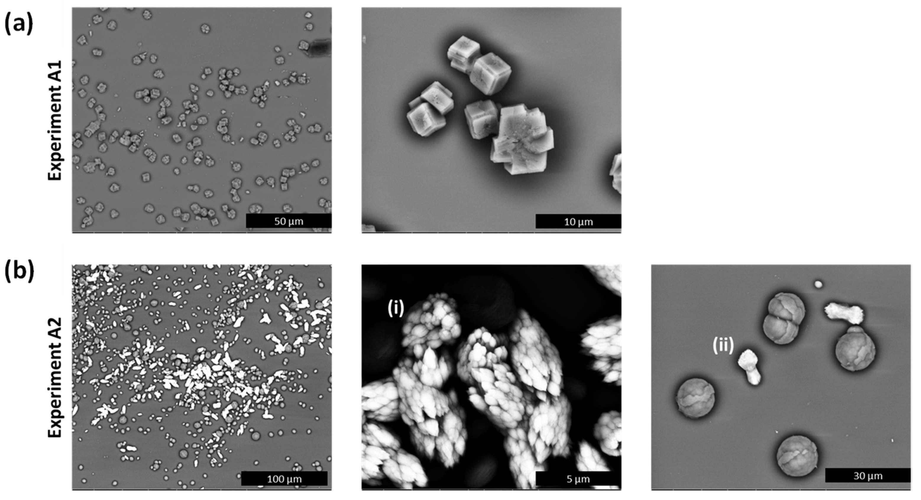 Minerals 13 00636 g005
