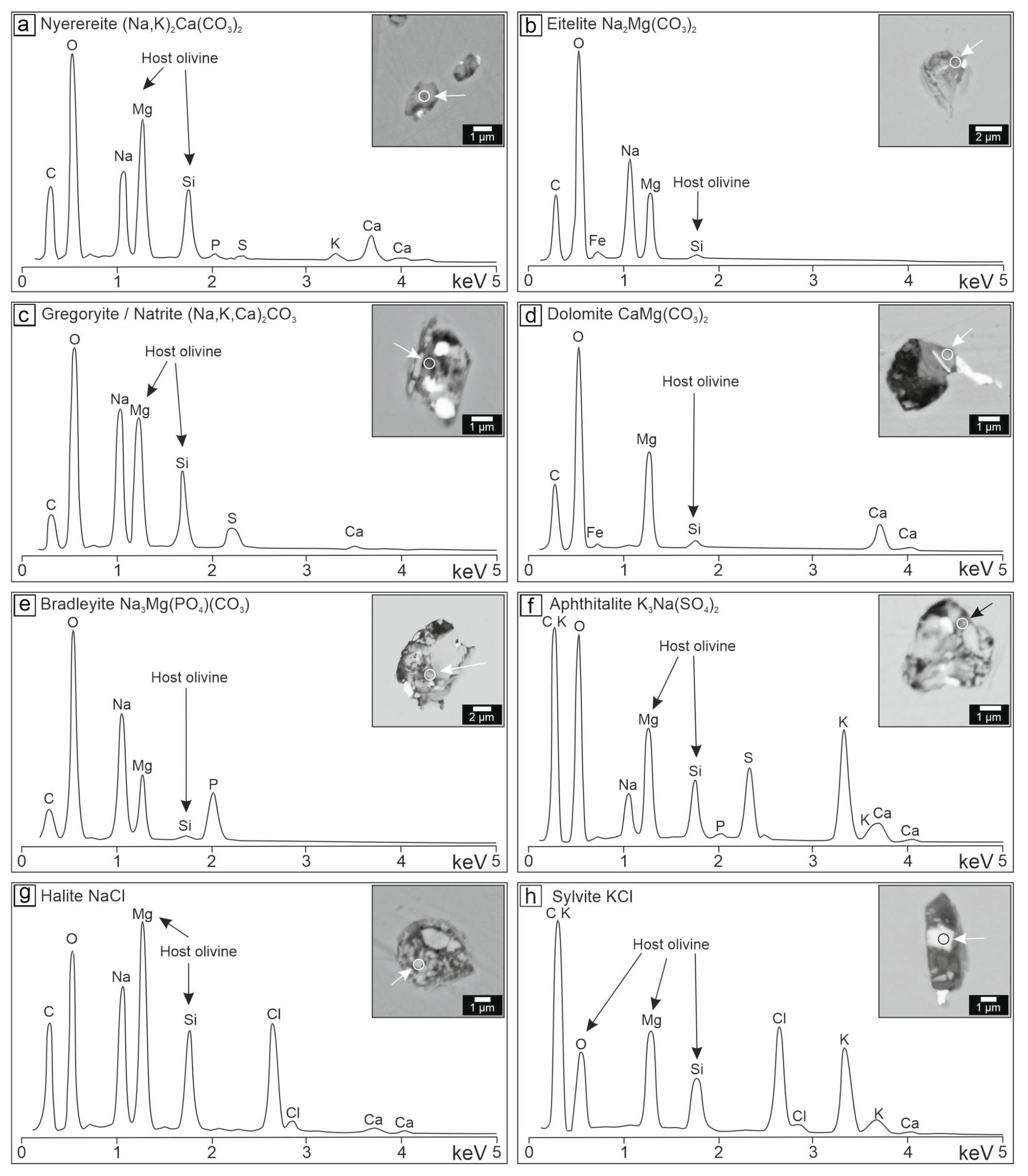 Minerals 13 00645 g007