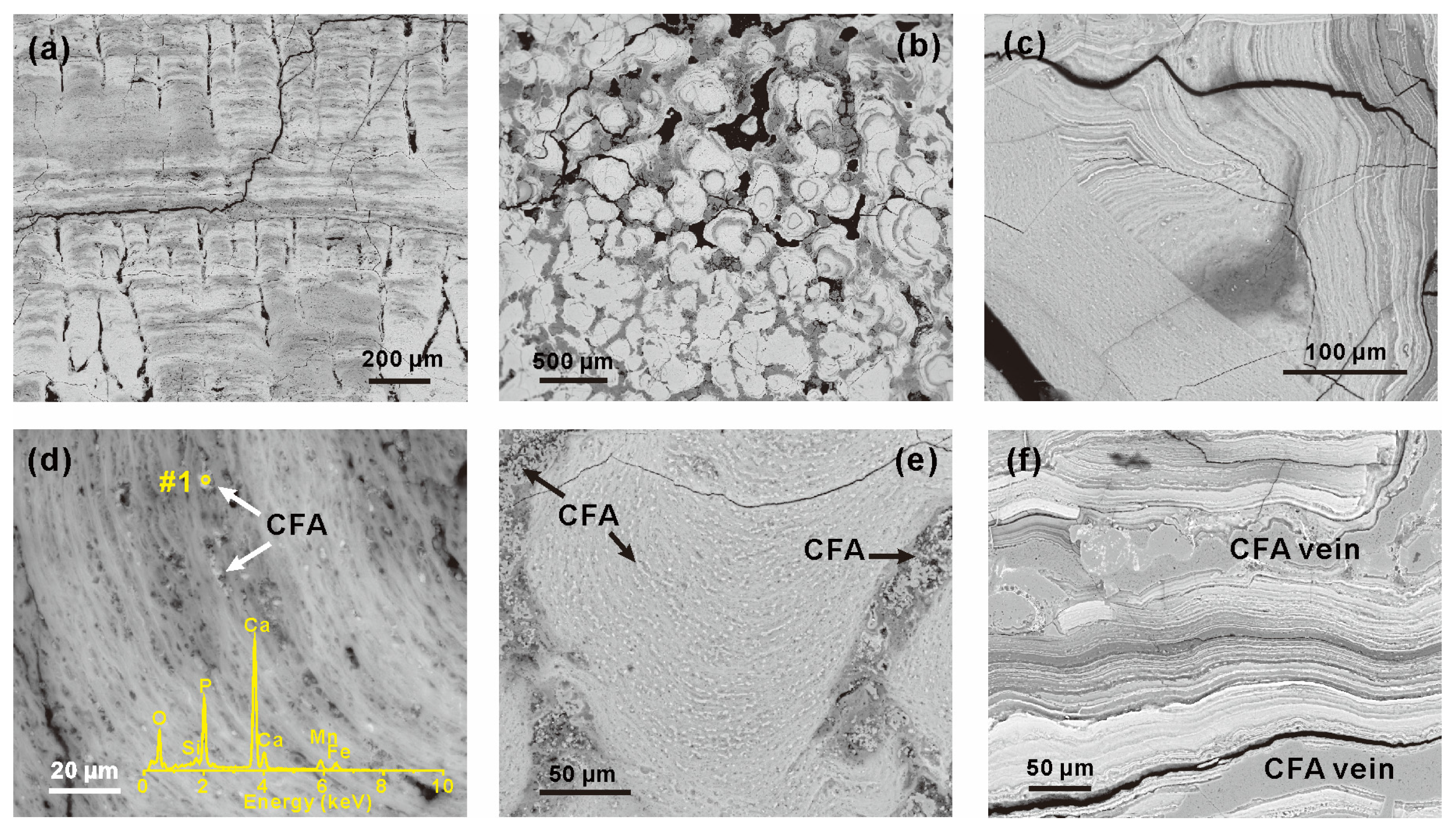 Minerals 13 00647 g002