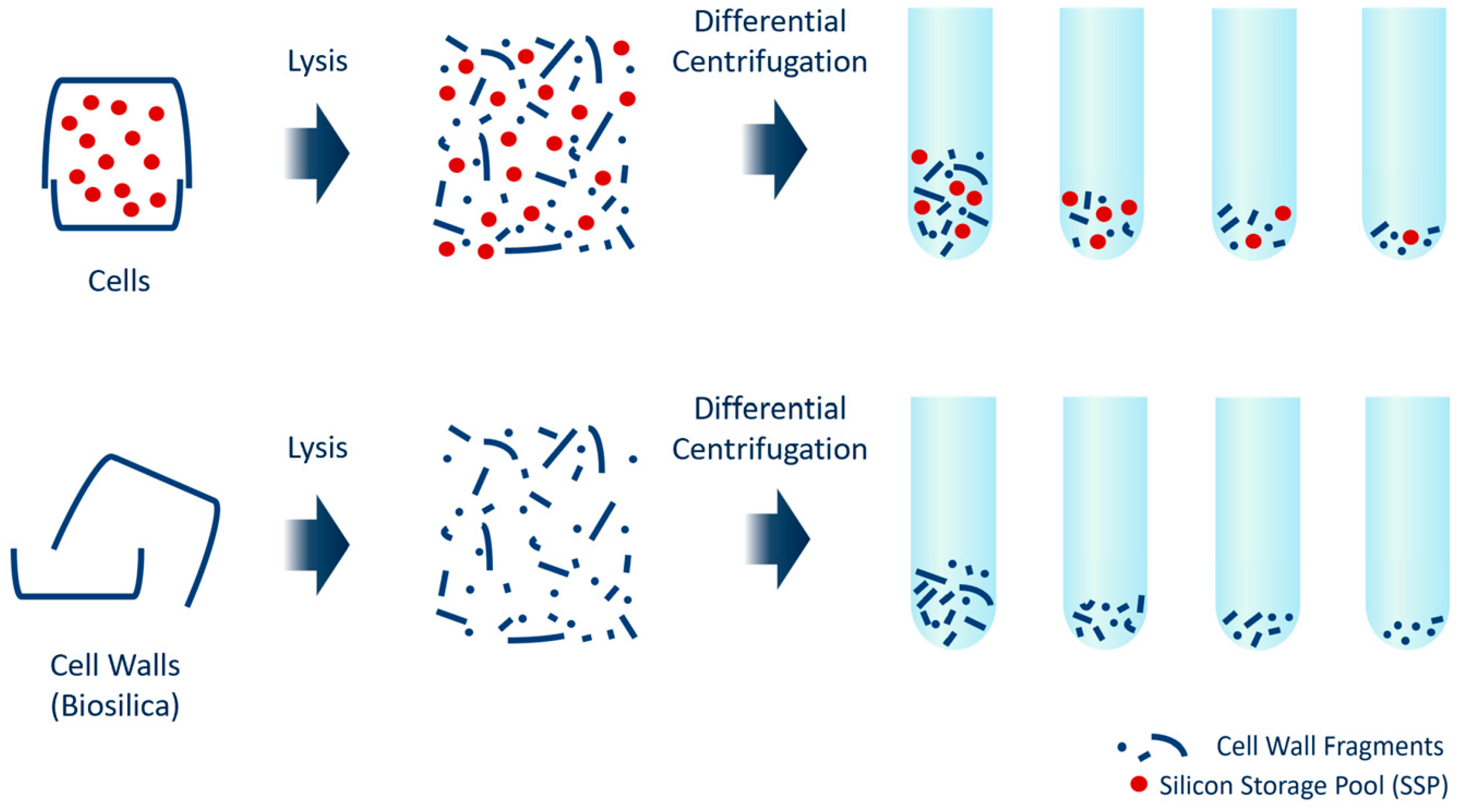 Minerals 13 00653 g002